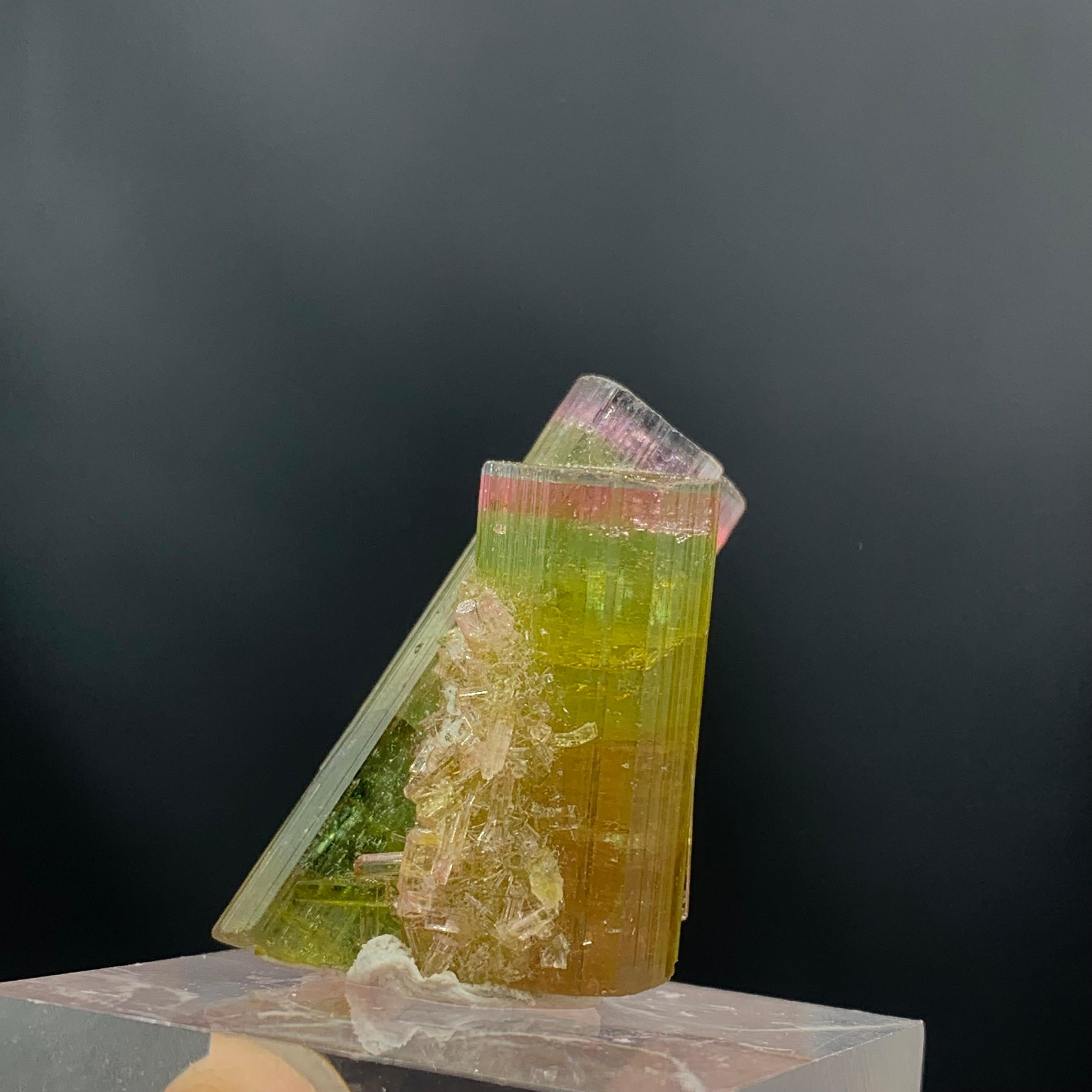 18th Century and Earlier Glamorous 46.05 Carat Tri Color Combined Tourmaline Specimen from Afghanistan  For Sale
