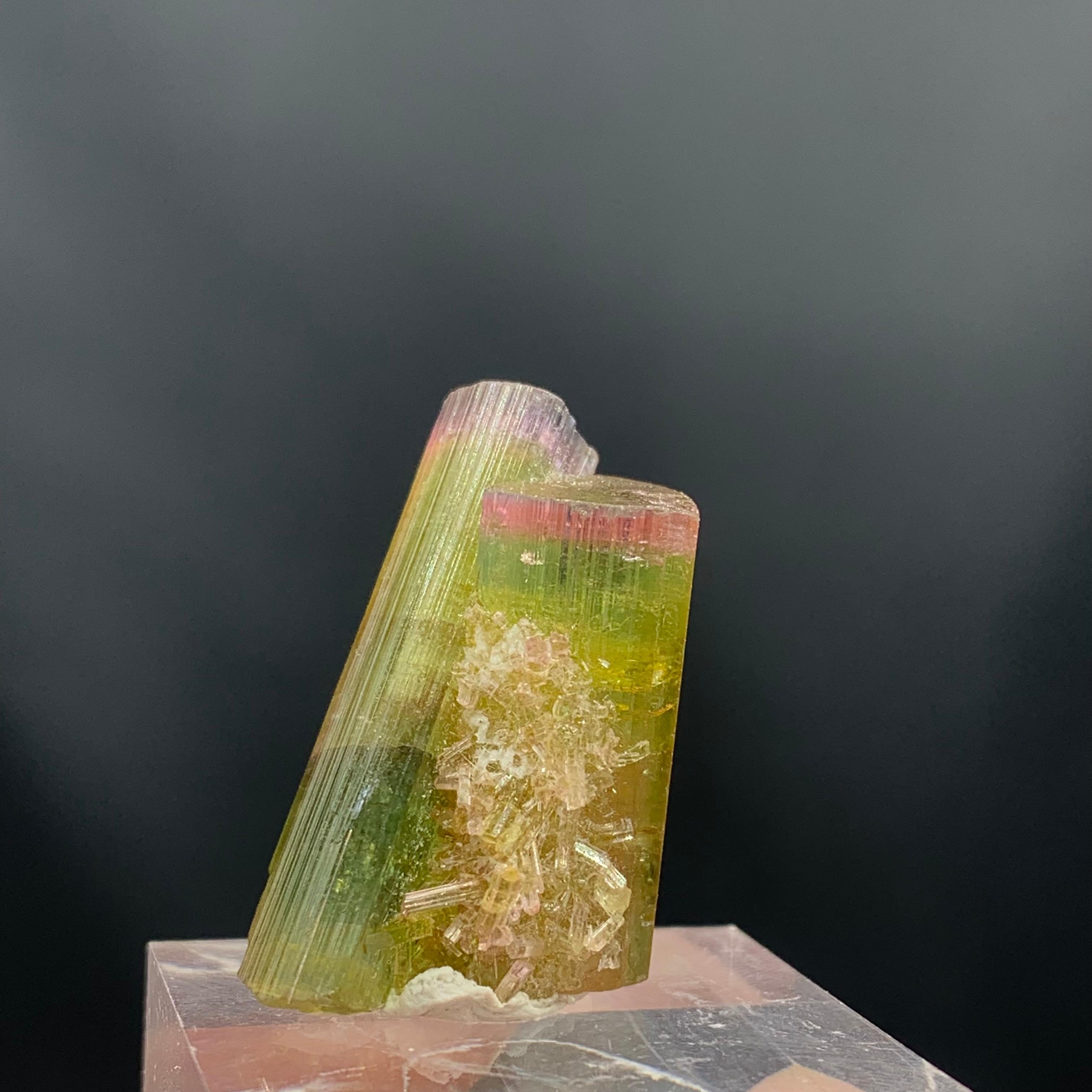 Rock Crystal Glamorous 46.05 Carat Tri Color Combined Tourmaline Specimen from Afghanistan  For Sale