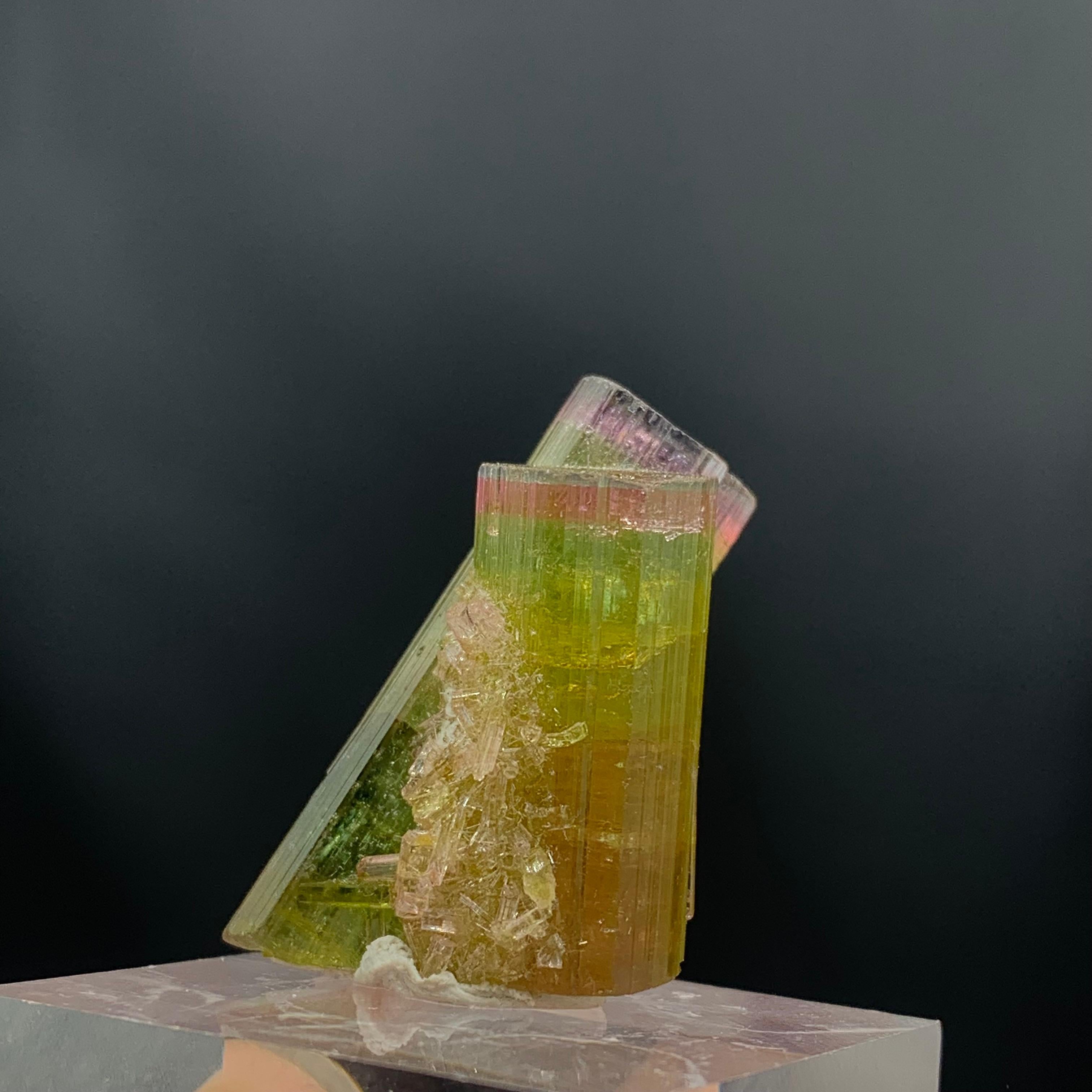 Glamorous 46.05 Carat Tri Color Combined Tourmaline Specimen from Afghanistan  For Sale 1