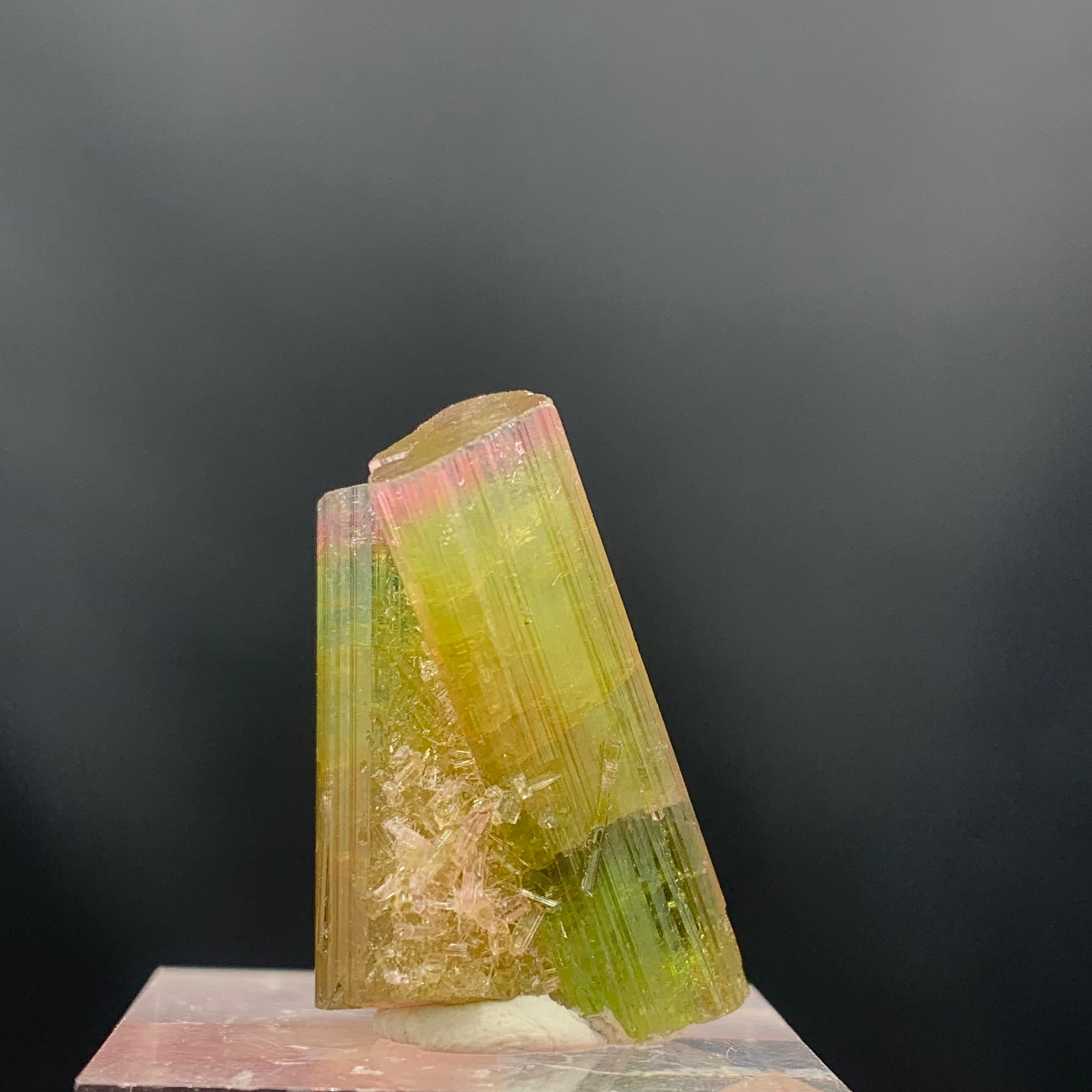 Glamorous 46.05 Carat Tri Color Combined Tourmaline Specimen from Afghanistan  For Sale 2