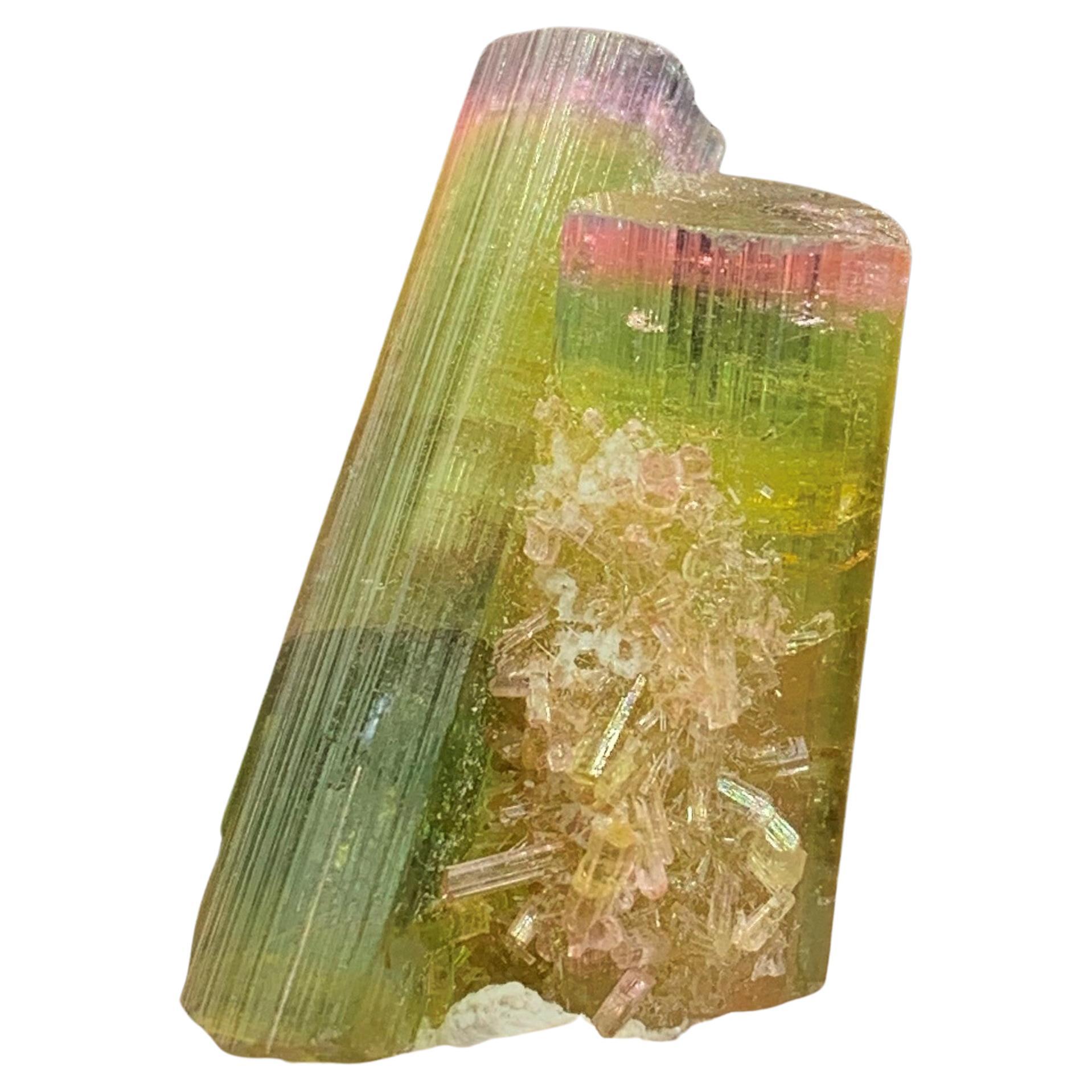 Glamorous 46.05 Carat Tri Color Combined Tourmaline Specimen from Afghanistan  For Sale