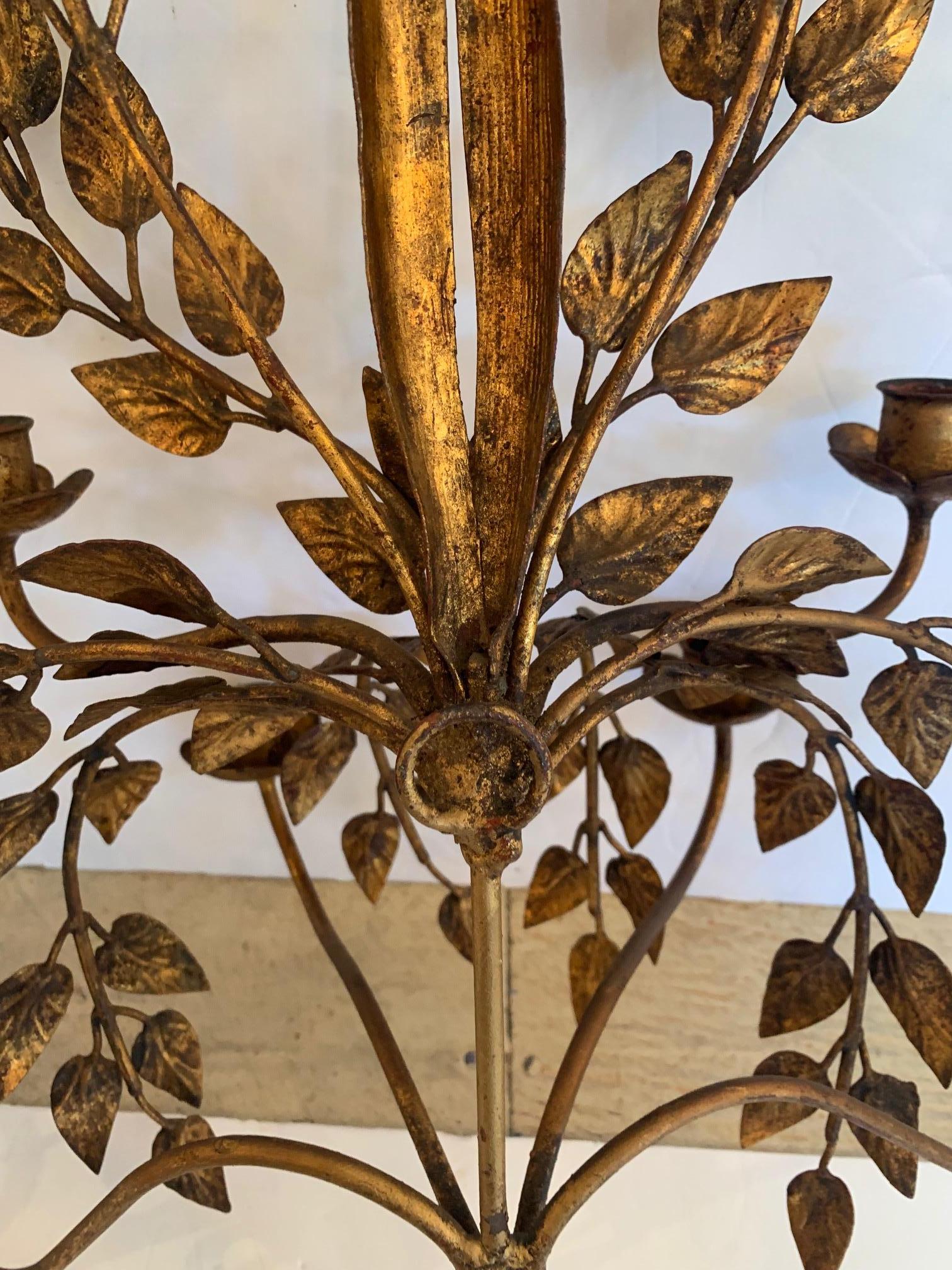 A glamorous pair of sizeable gilded iron and tole Italian candelabra sconces having lovely decorative leaves and 6 bobeches for candles.