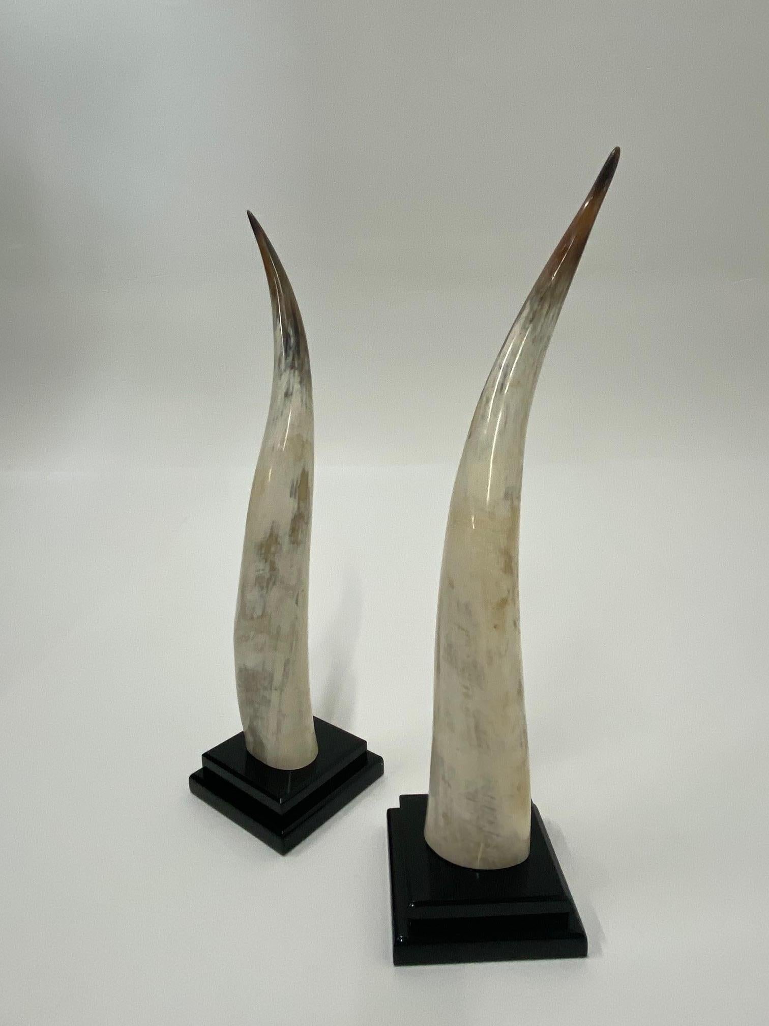 Glamorous Large Pair of Steer Horns on Black Lucite by Van Teal In Good Condition In Hopewell, NJ