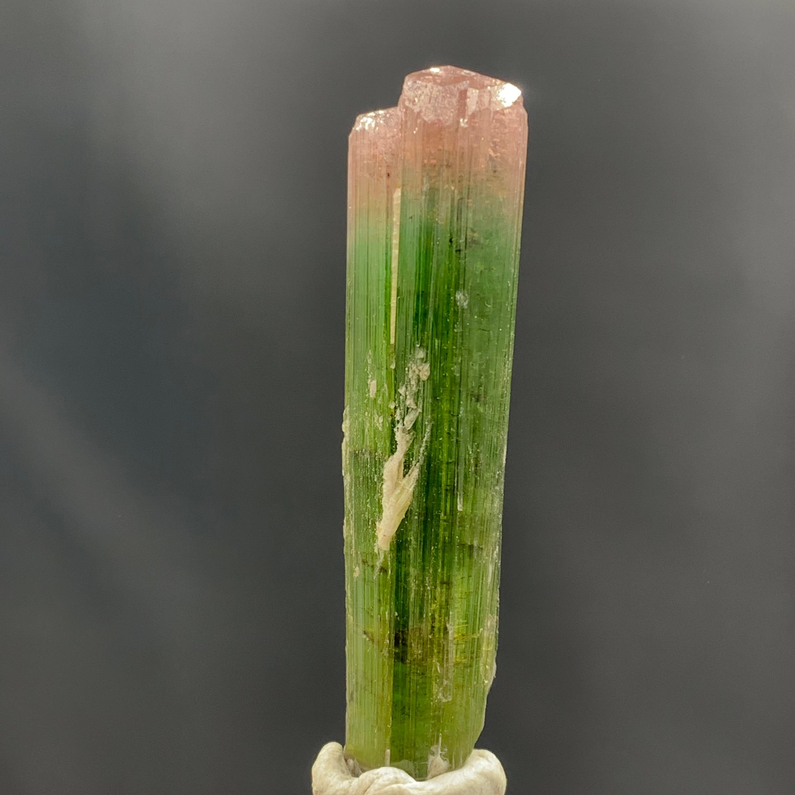 Glamorous Natural Bi Color Tourmaline Crystal From Afghanistan
WEIGHT: 69.75 Carat
DIMENSION: 5.0 x 1.3 x 1.1 Cm
ORIGIN : Paprok Mine, Afghanistan
COLOR: Pink And Green
TREATMENT: None
Tourmaline is an extremely popular gemstone; the name