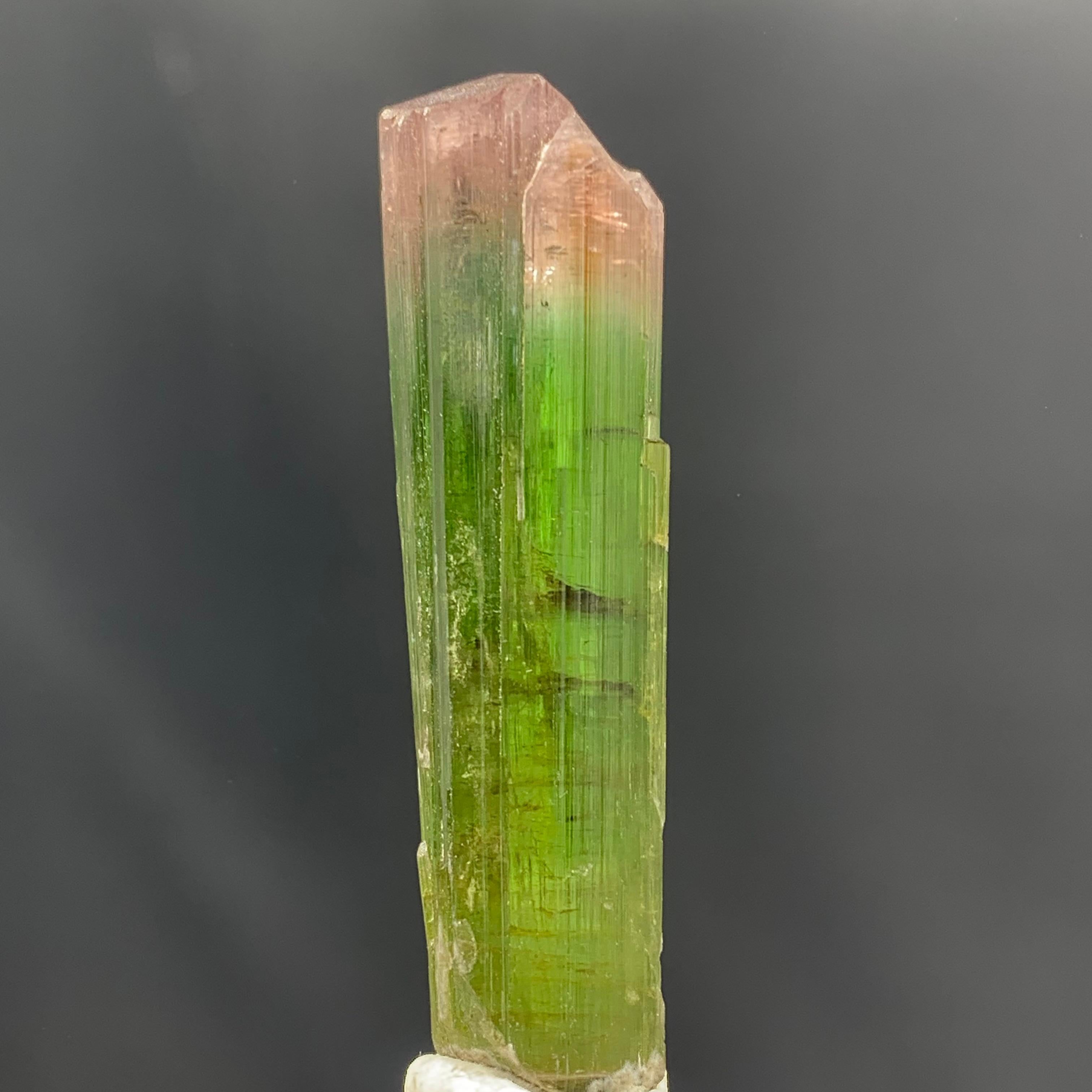 Other Glamorous Natural 69.75 Carat Bi Color Tourmaline Crystal From Afghanistan For Sale