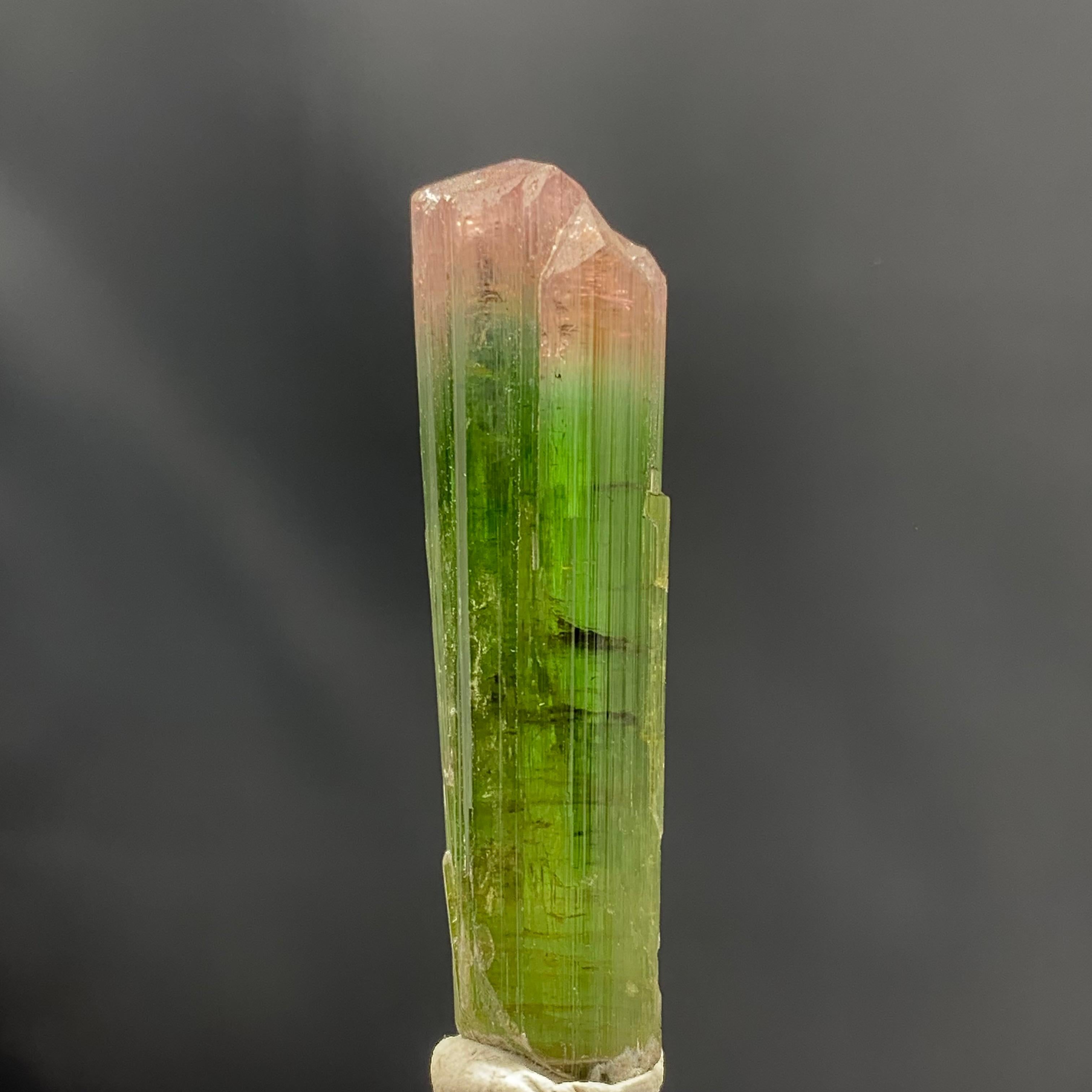 18th Century and Earlier Glamorous Natural 69.75 Carat Bi Color Tourmaline Crystal From Afghanistan For Sale