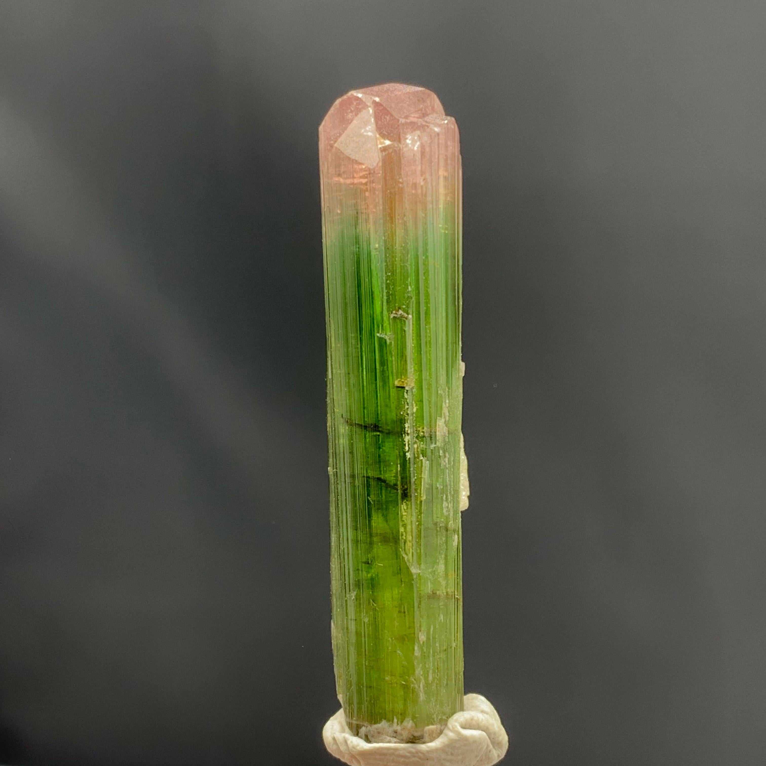 Glamorous Natural 69.75 Carat Bi Color Tourmaline Crystal From Afghanistan For Sale 1