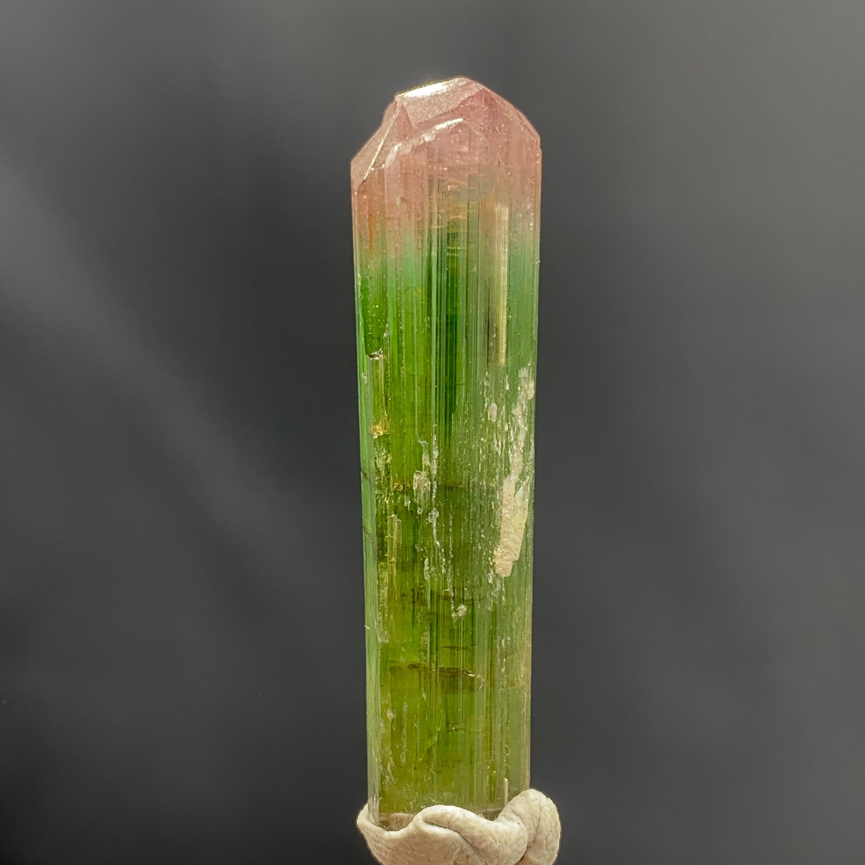 Glamorous Natural 69.75 Carat Bi Color Tourmaline Crystal From Afghanistan For Sale 2