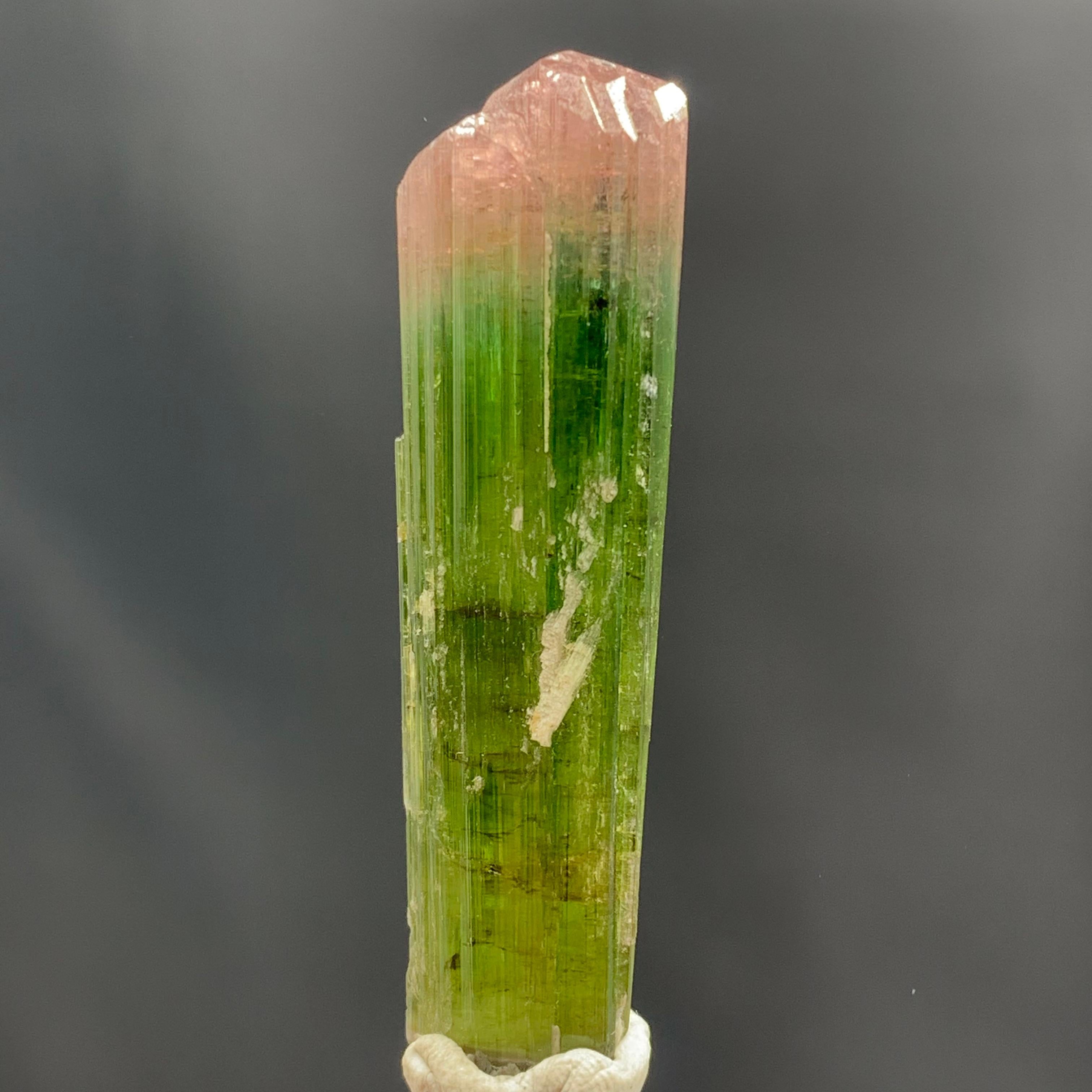Glamorous Natural 69.75 Carat Bi Color Tourmaline Crystal From Afghanistan For Sale 3