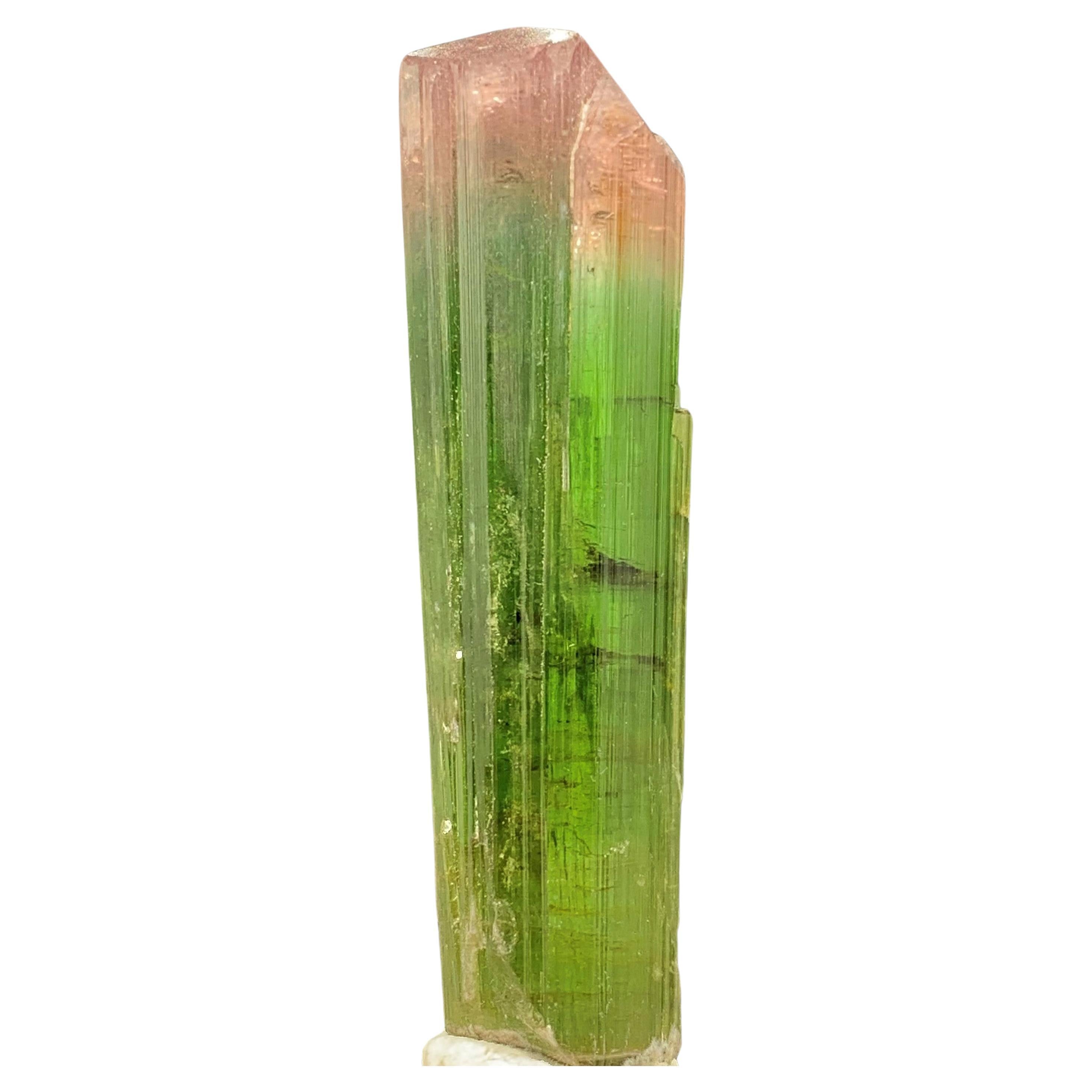 Glamorous Natural 69.75 Carat Bi Color Tourmaline Crystal From Afghanistan For Sale