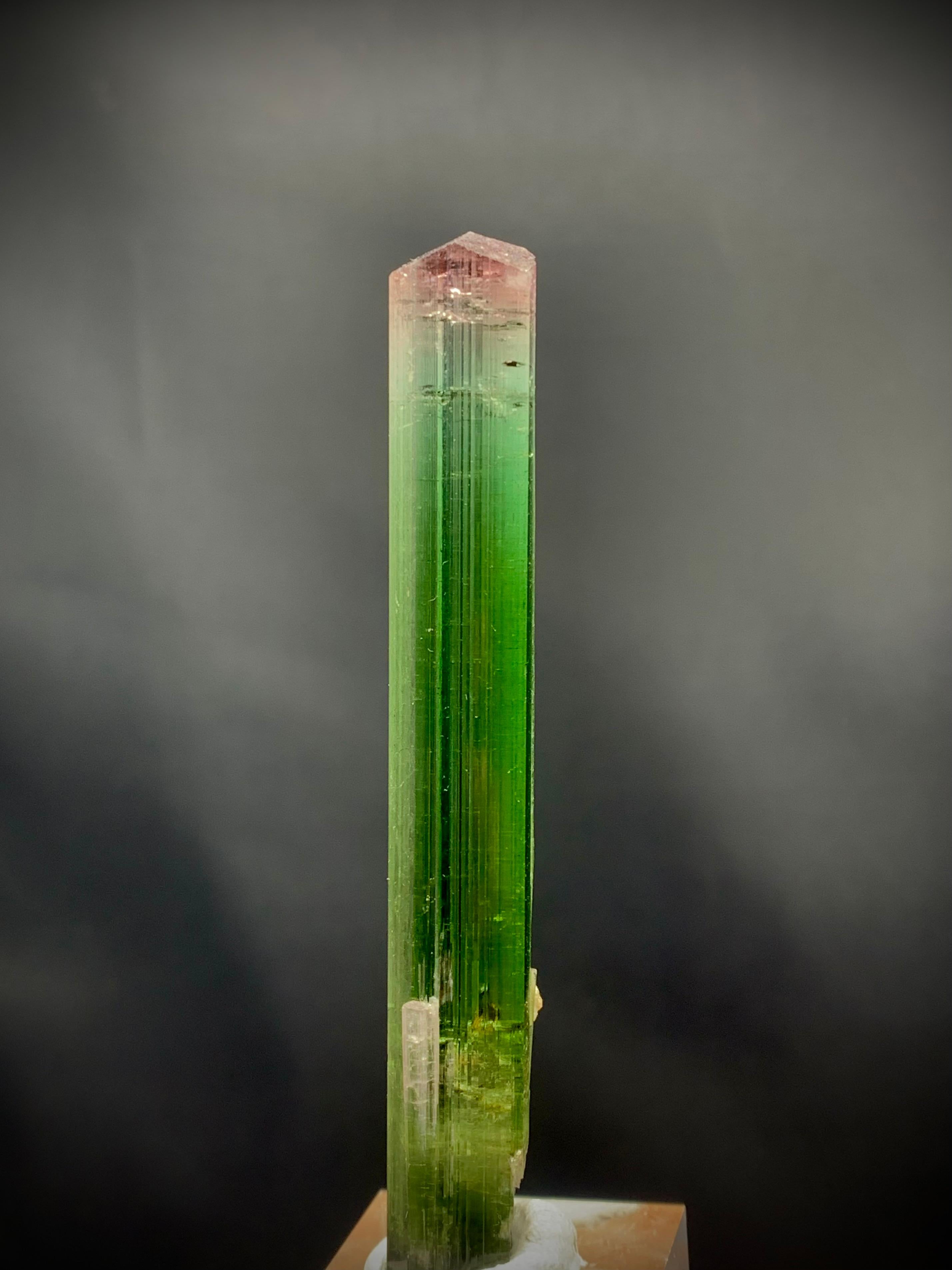 Glamorous Natural Tri Color Tourmaline Crystal From Paprok Mine Afghanistan For Sale 3