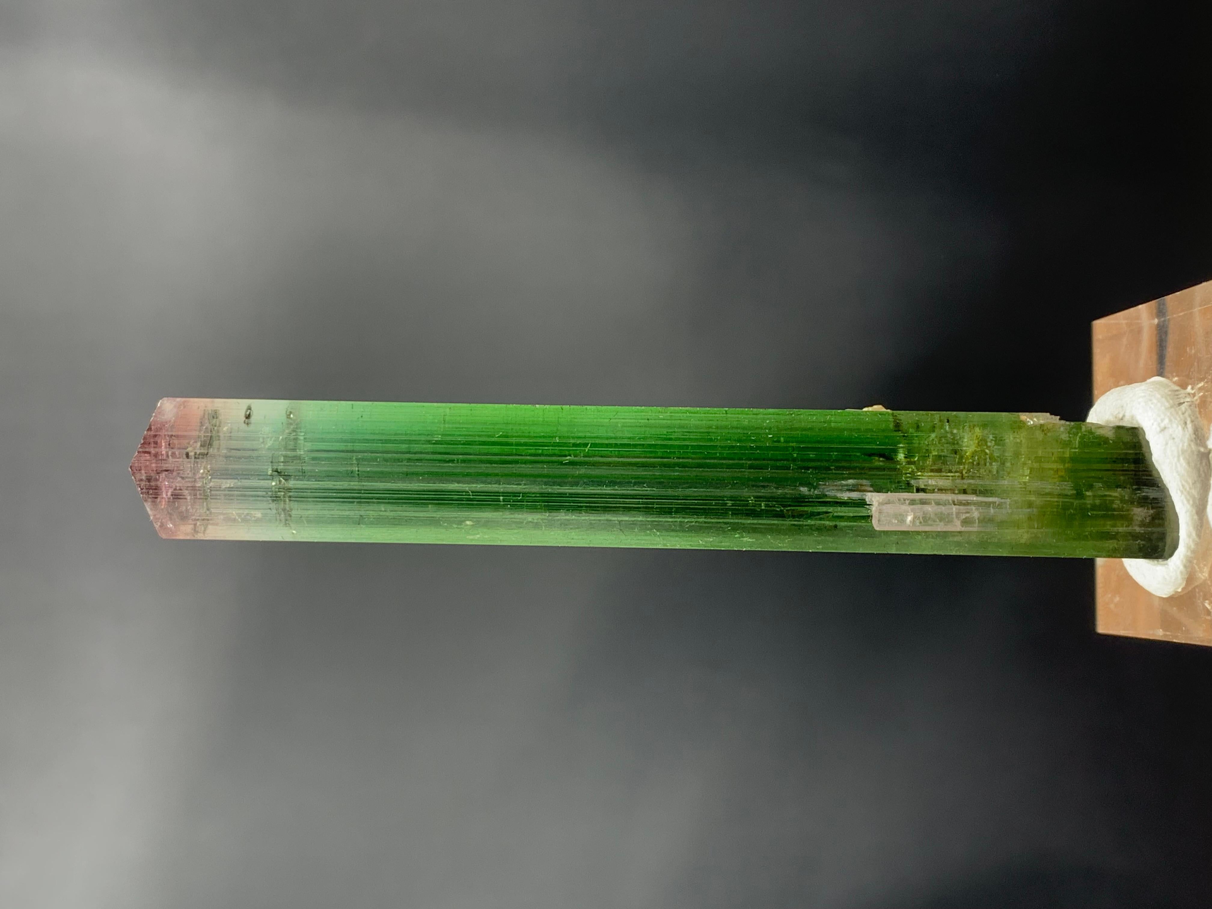 Other Glamorous Natural Tri Color Tourmaline Crystal From Paprok Mine Afghanistan For Sale