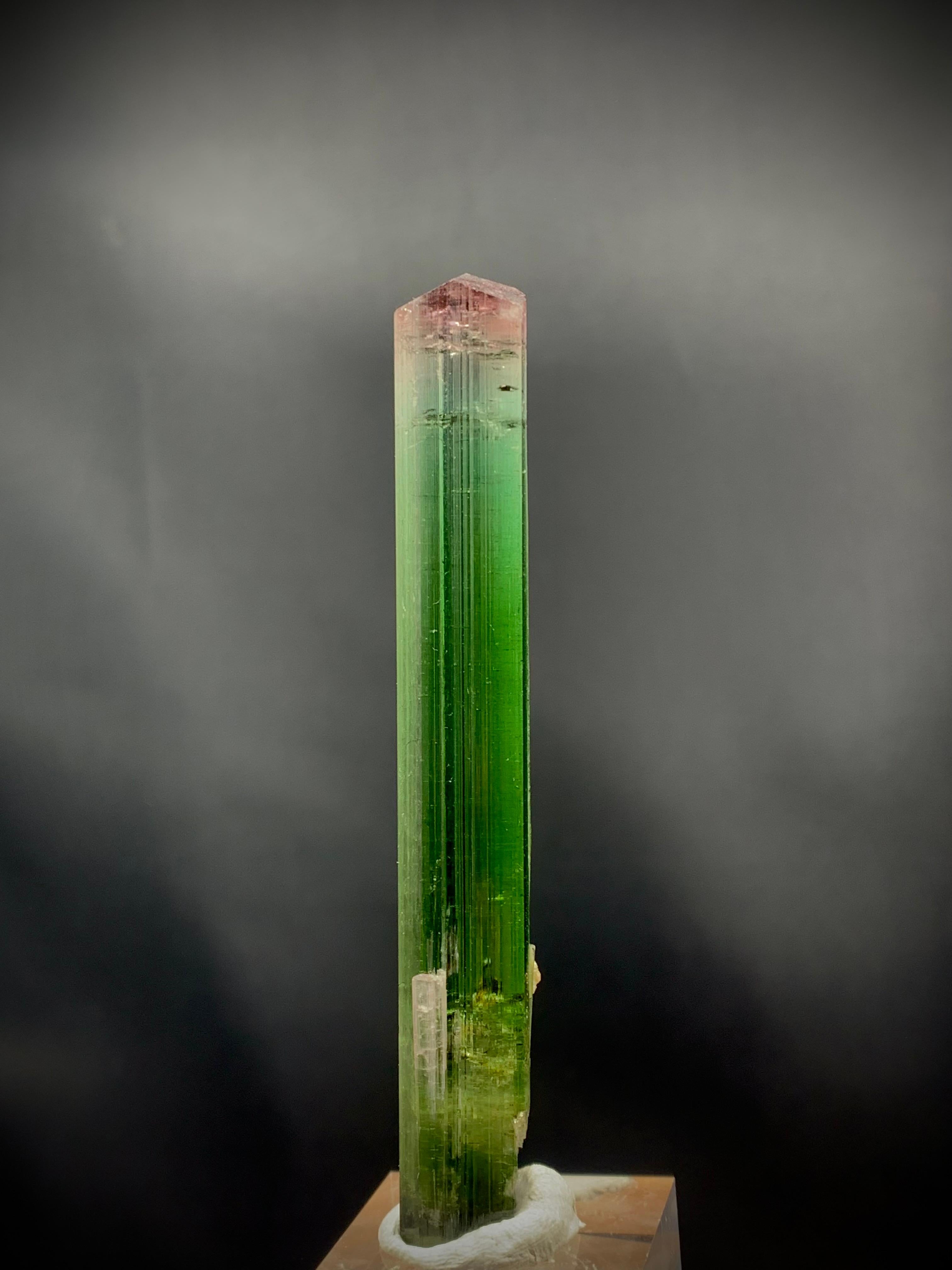 Glamorous Natural Tri Color Tourmaline Crystal From Paprok Mine Afghanistan In Good Condition For Sale In Peshawar, PK