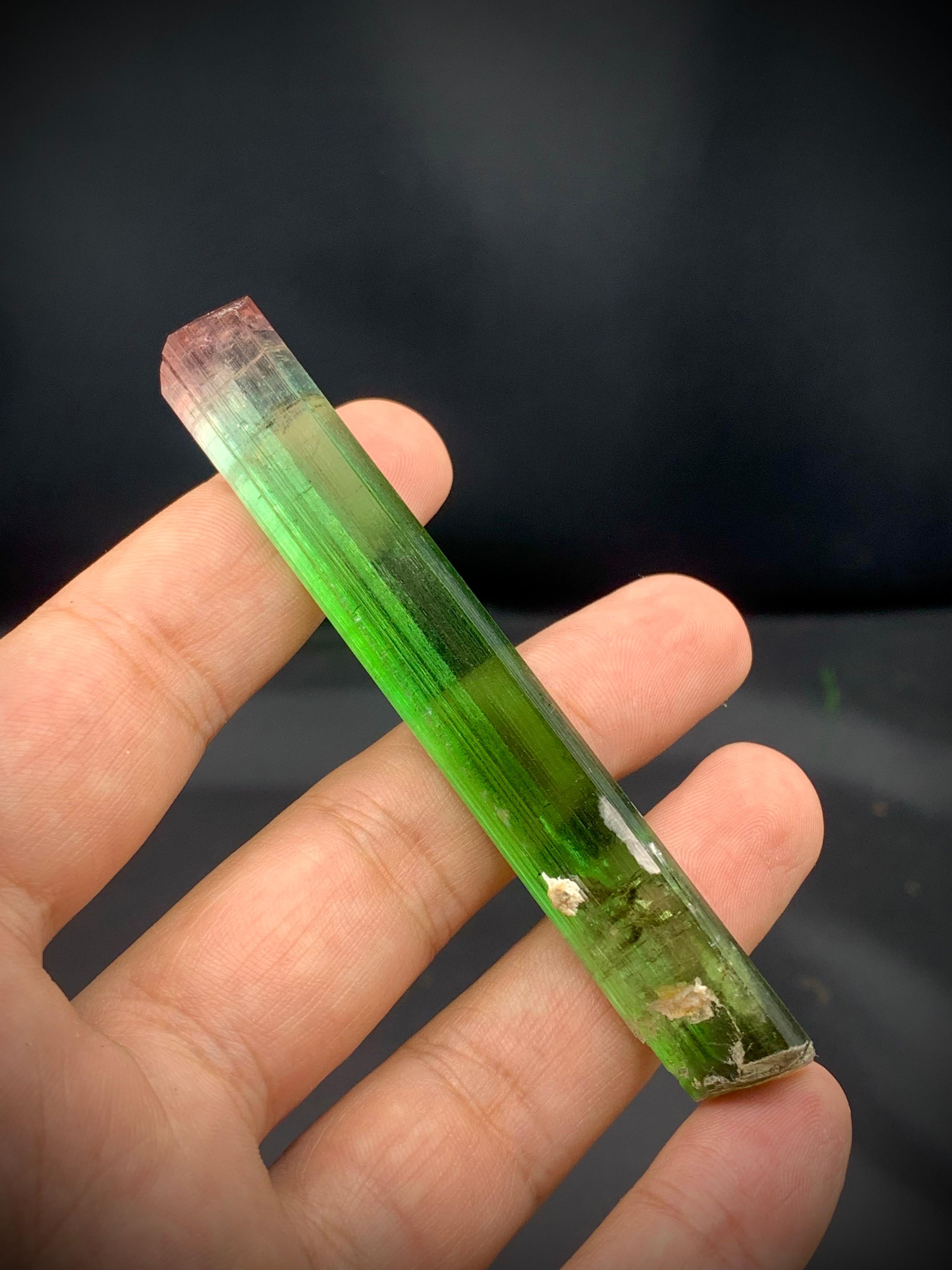 Glamouröser dreifarbiger Turmalinkristall aus der Paprok-Mine in Afghanistan (Kristall) im Angebot