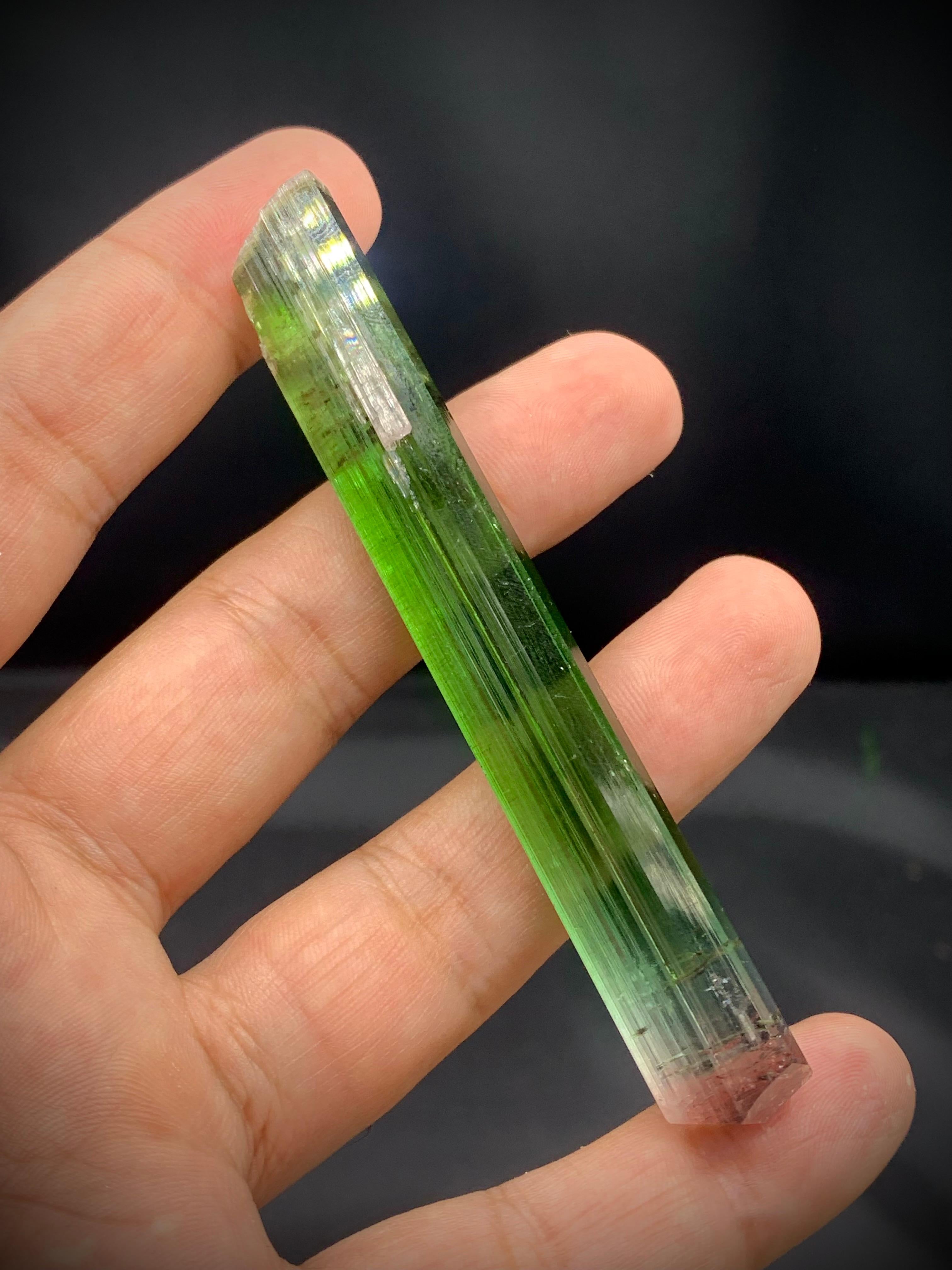 Glamorous Natural Tri Color Tourmaline Crystal From Paprok Mine Afghanistan For Sale 2