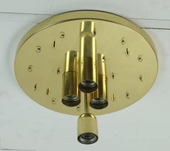 glashuette limburg mid century CEILING LIGHT ceiling fixture with 18 glass tubes