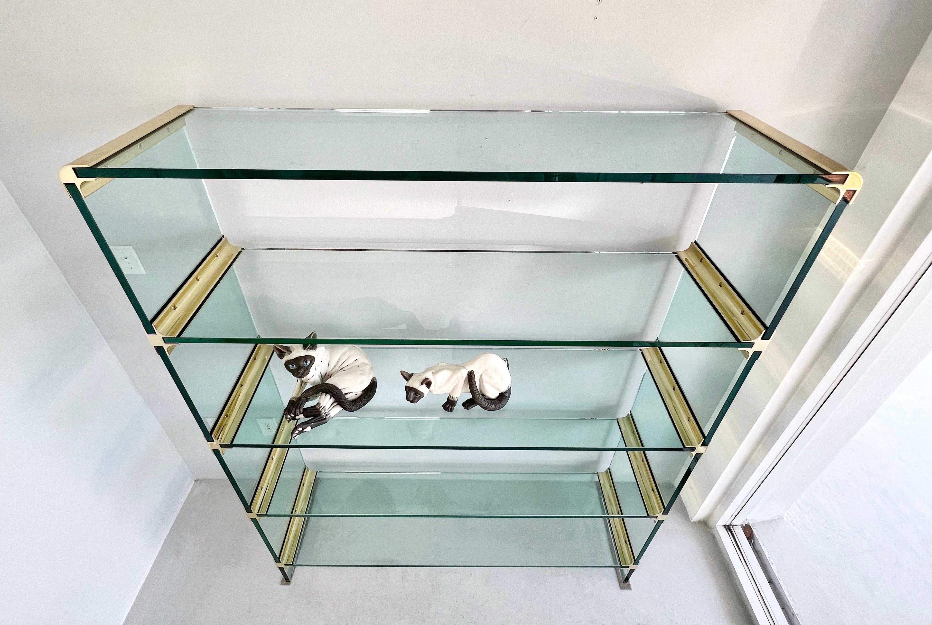 American Glass and Brass Modern Bookcase Etagere, 1970s