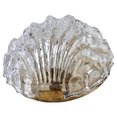 Glass and Brass Shell Sconce, Midcentury
