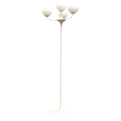 Glass and Metal Floor Lamp by E.R. Nele for Temde, 1960s