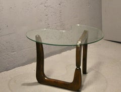 Glass and organic wood end table