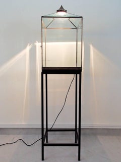 Glass and Oxidized Metal Floor Light with Display Case