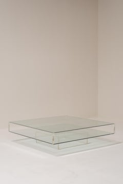 Glass and Plexiglass Display Coffee Table, 1970s