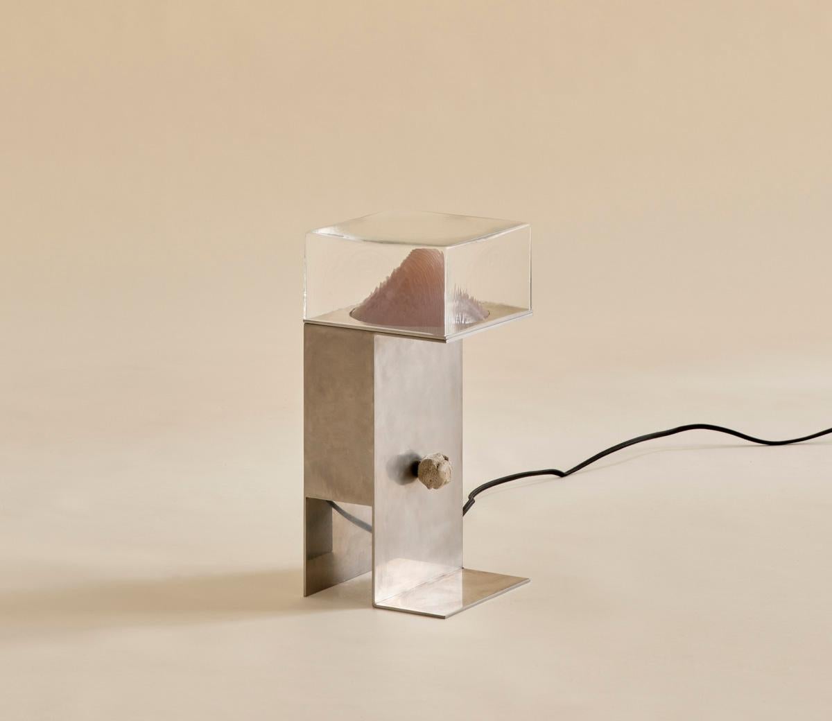 Glass and Steel Perception Table Lamp by Known Work For Sale 3