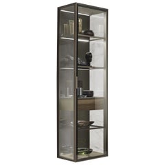 Glass and Walnut Wood Vertical Wall Cabinet