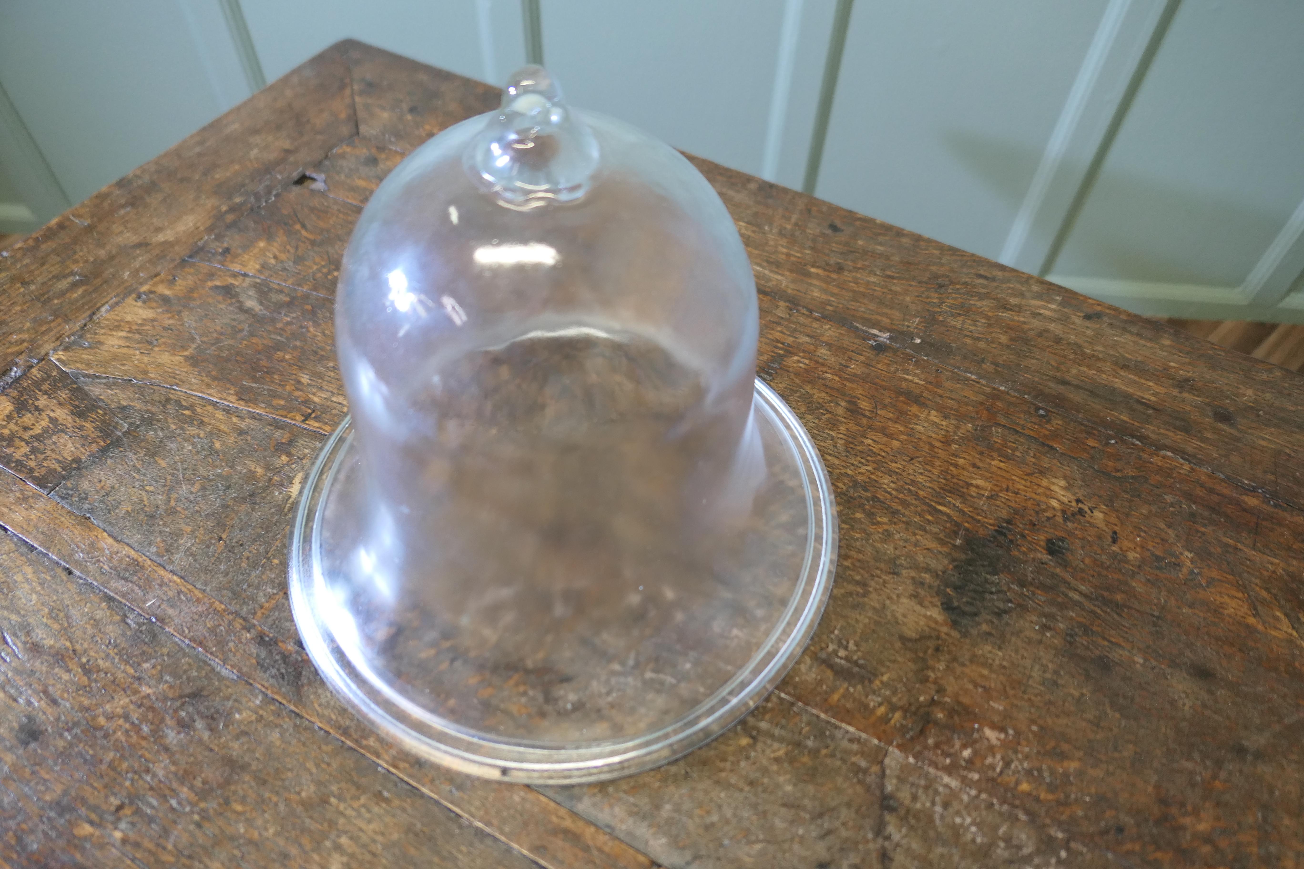 Cloche a campana in vetro. In condizioni buone in vendita a Godshill, Isle of Wight