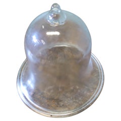 Glass Bell Cloche.