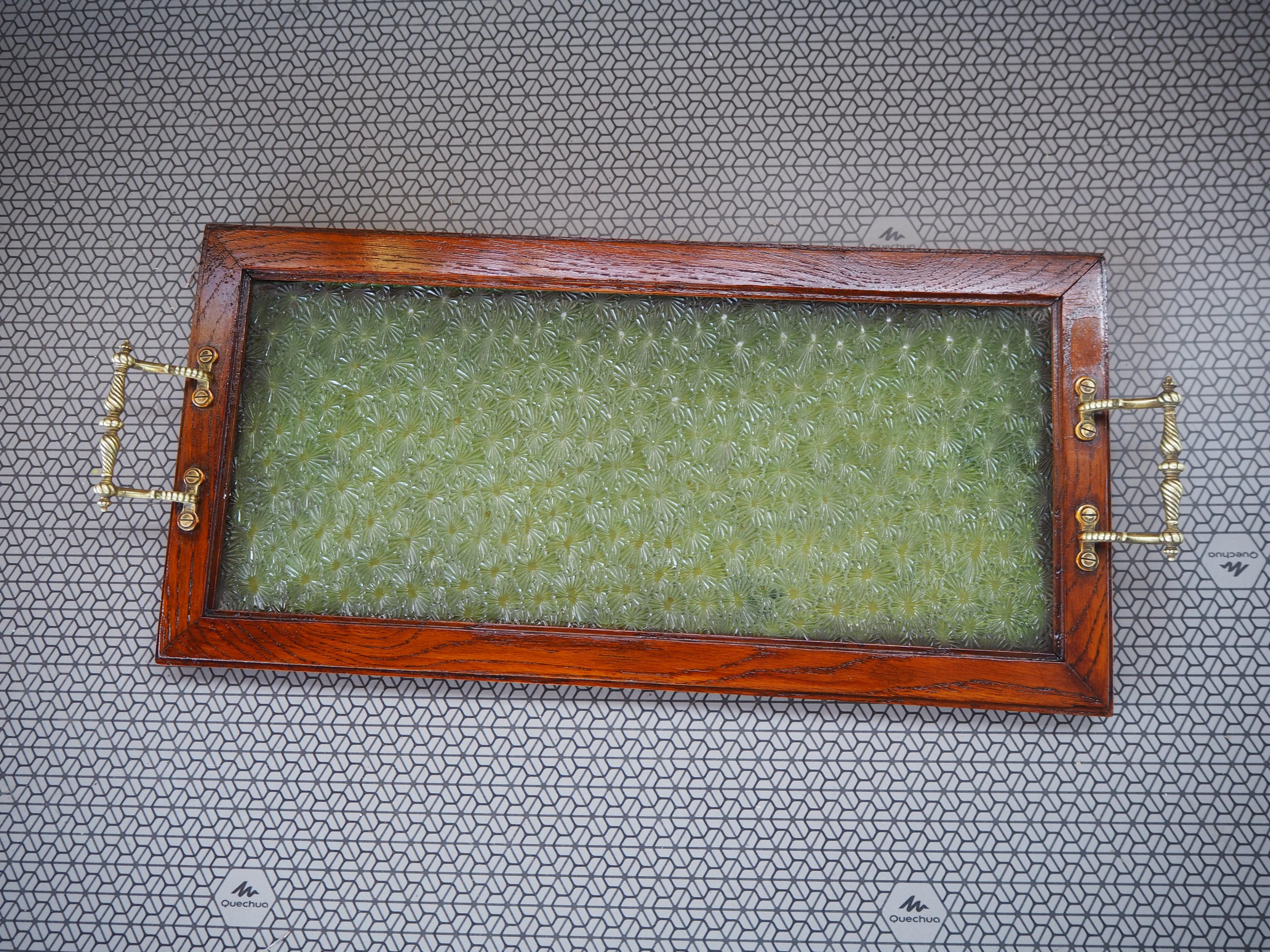 Plateau en verre, laiton et Wood, Tchécoslovaquie, années 1970 en vente 3