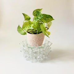 Vaso a grappolo in vetro per piante