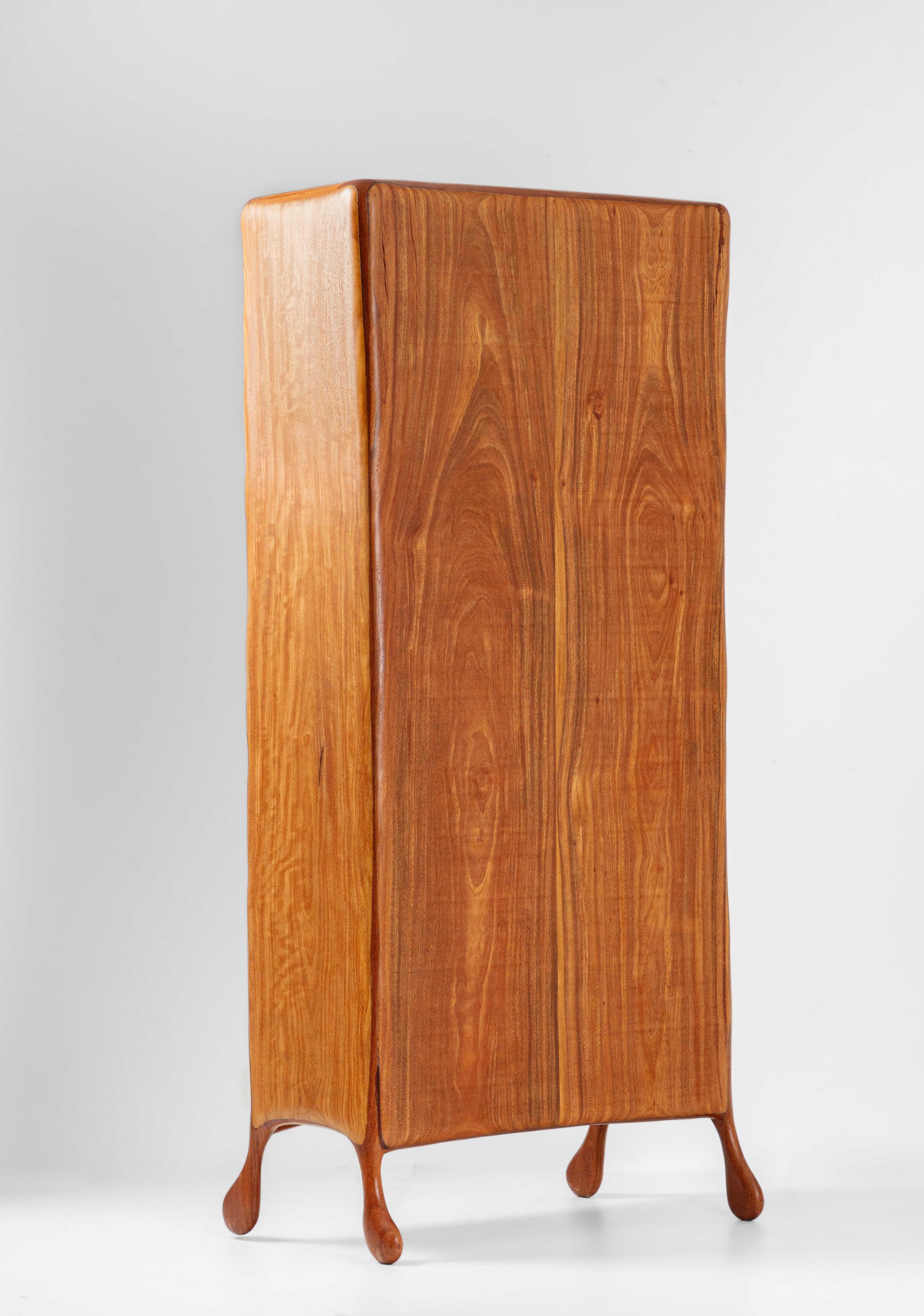 Brazilian Glass Cabinet by Andrew de Freitas For Sale