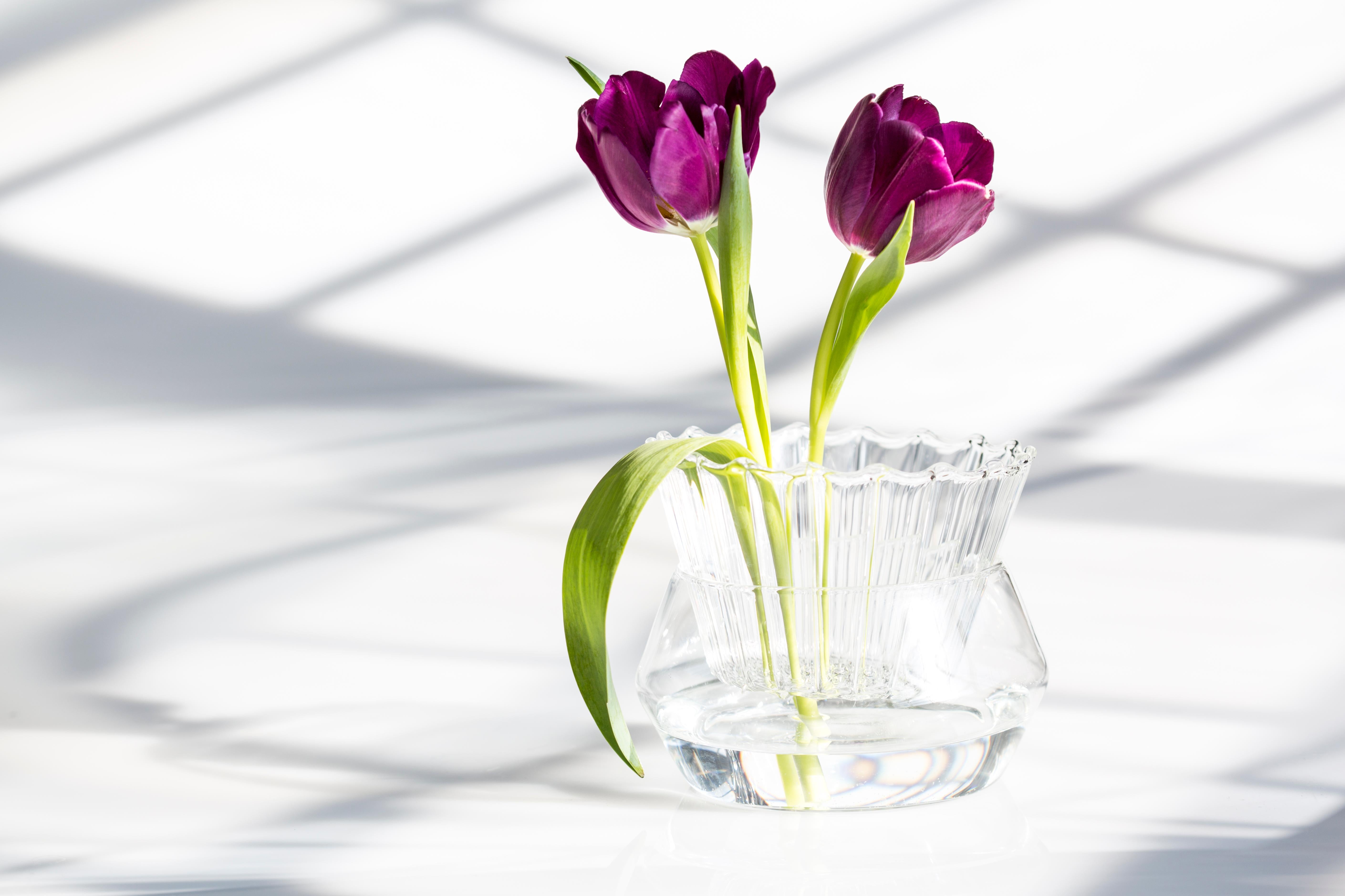 EU Clients Glas Contemporary 2-teilige Blume Tschechische Vase Handcrafted auf Lager (Handgefertigt)