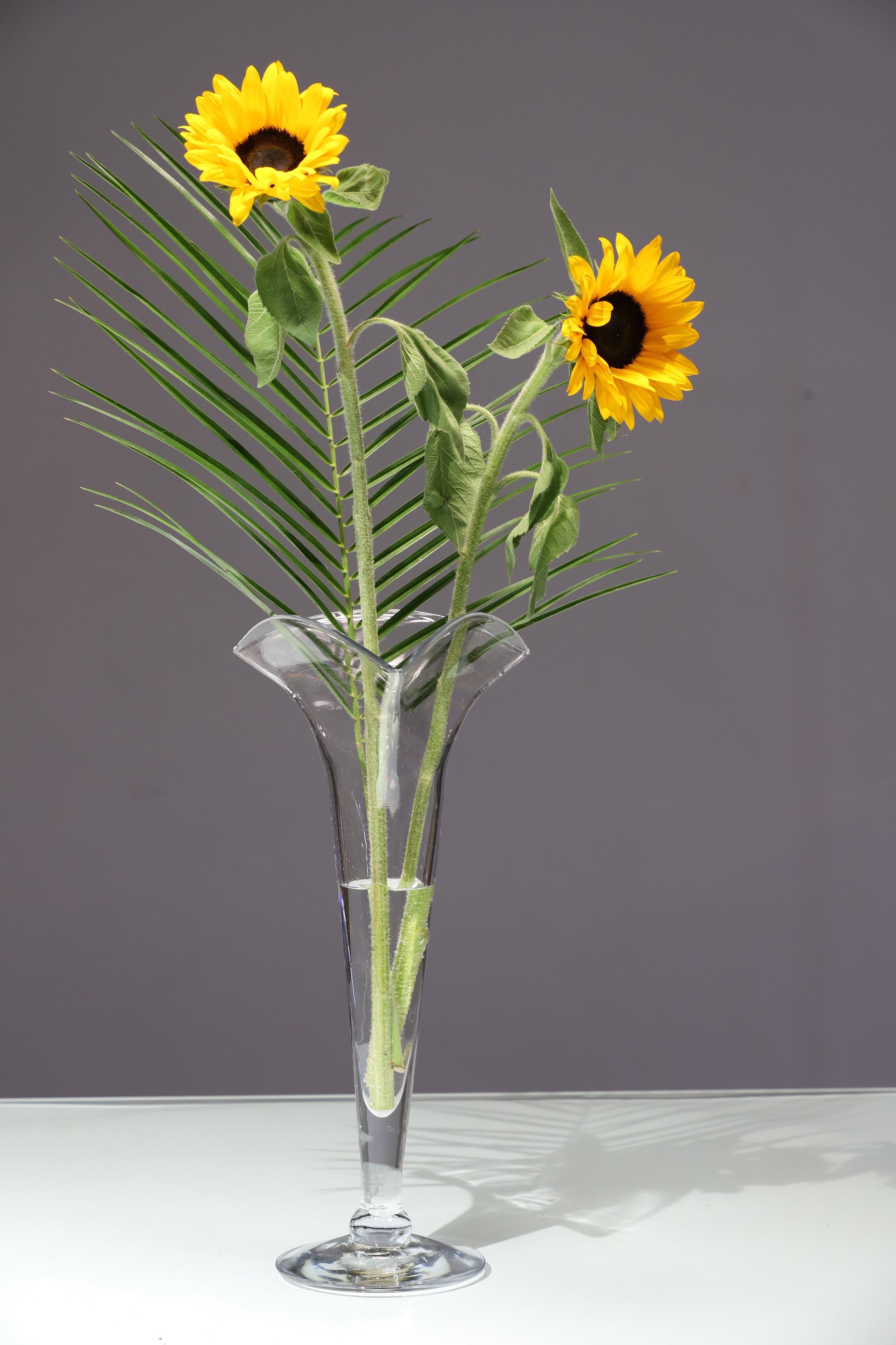 Glass Fan Vase from Blenko 7