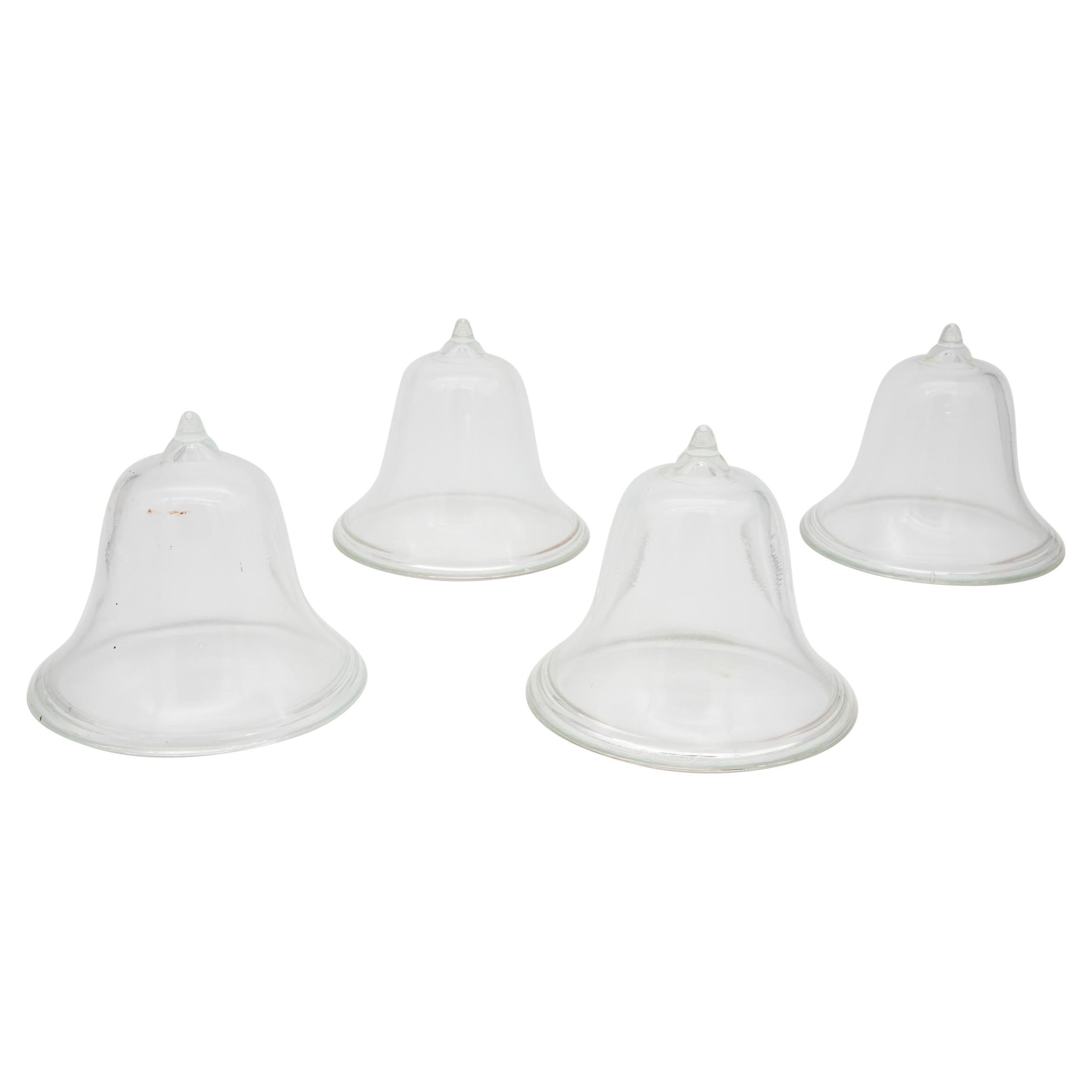 Claveles de cristal para jardín