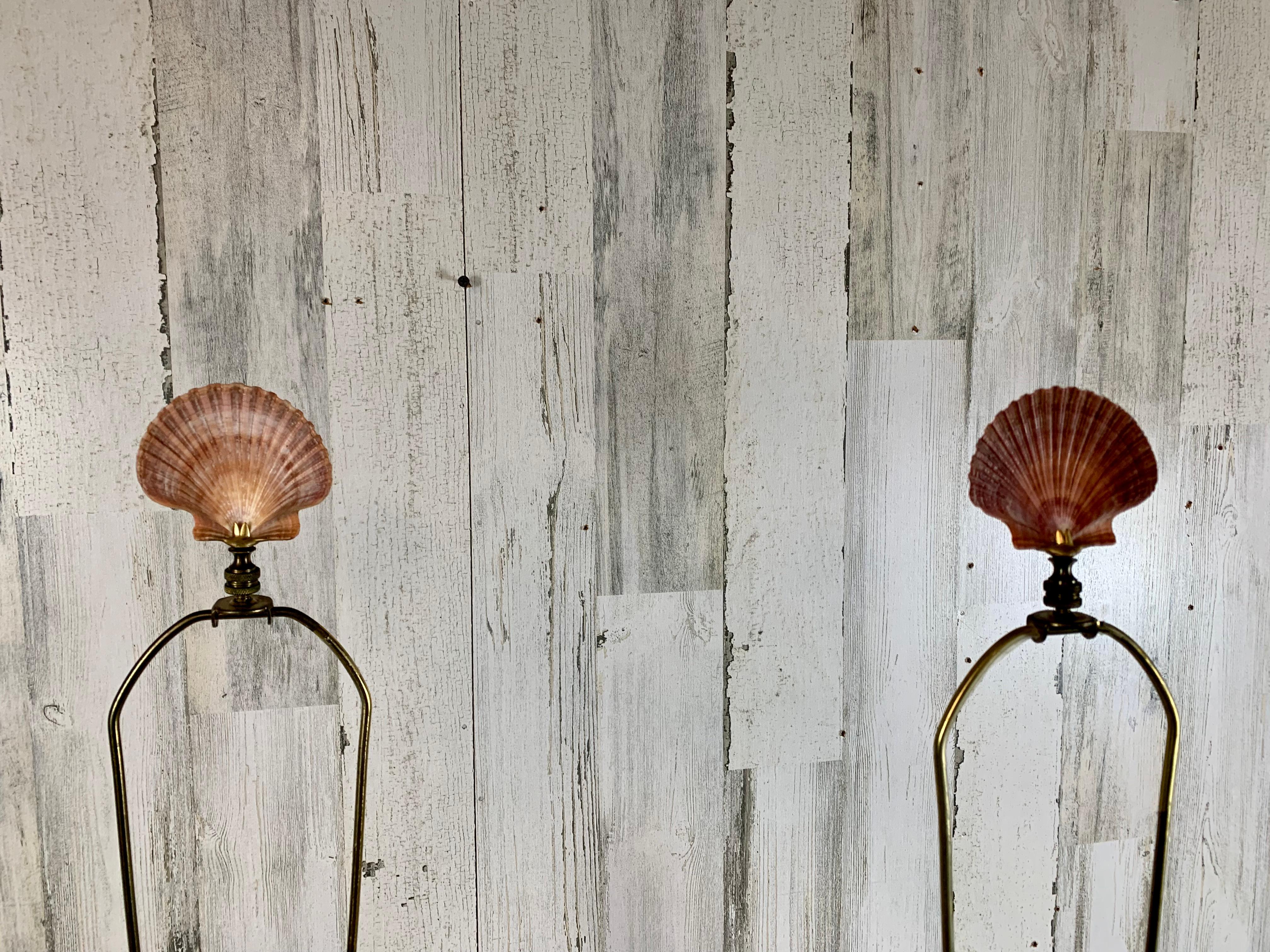 Glas Ingwer JAR Muschel gefüllt Tischlampen im Zustand „Gut“ im Angebot in Denton, TX