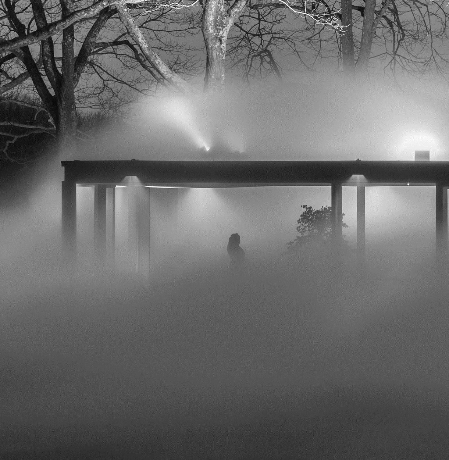 Glass House, Veil, 2014 Photograph by Richard Barnes In Excellent Condition For Sale In New Canaan, CT