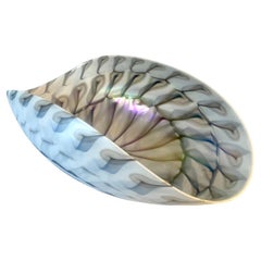 Bol décoratif en verre ou en porcelaine avec design en forme de coquillage