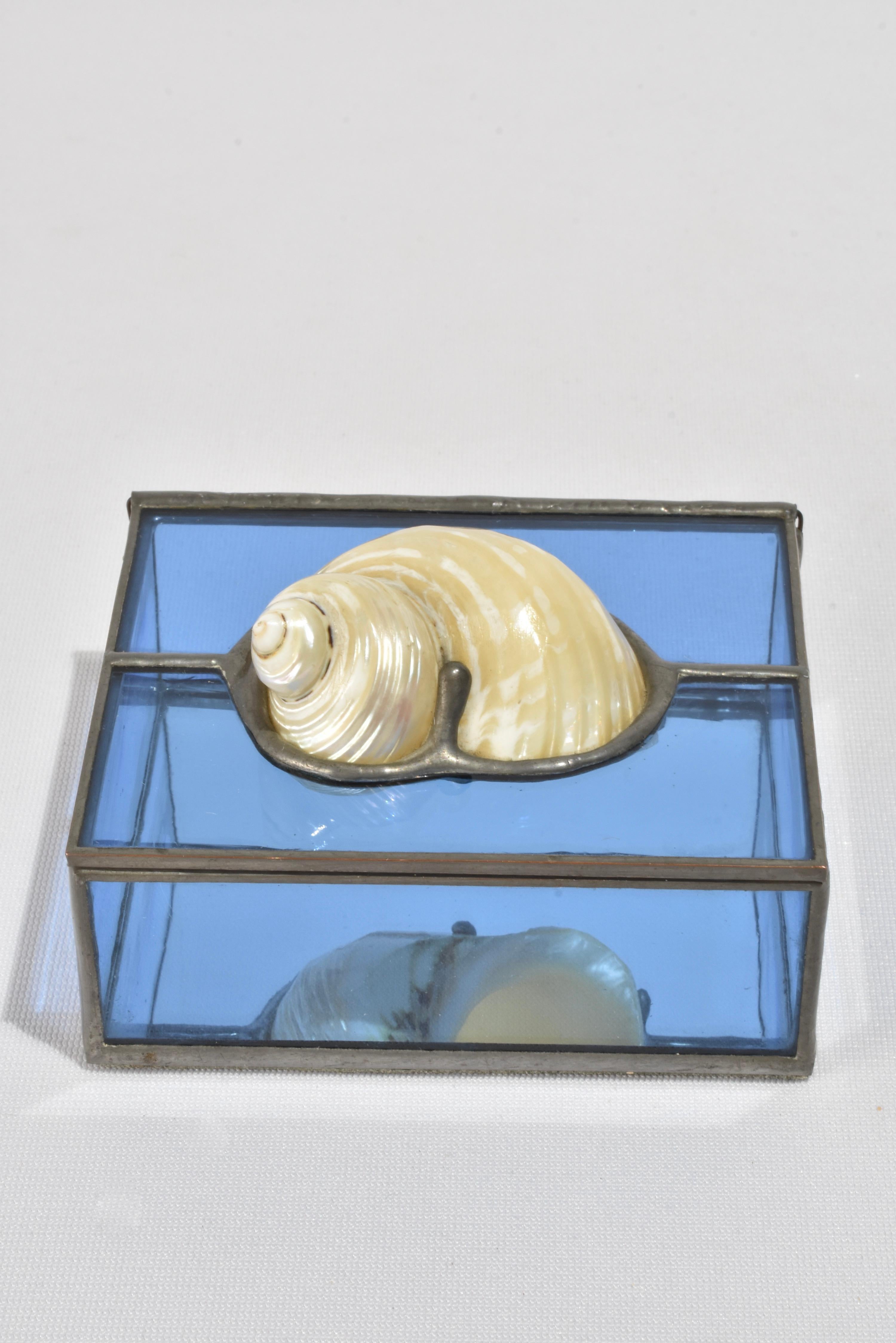 Glass Shell Box In Good Condition In Richmond, VA