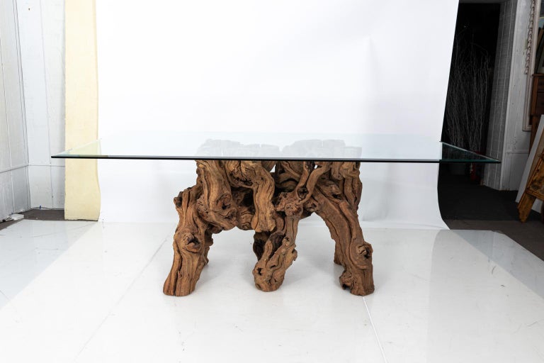 Vintage Glass Top Cypress Tree Root Dining Table At 1stdibs Cypress Tree Root Dining Table, Tree Trunk Dining Table With Glass Top