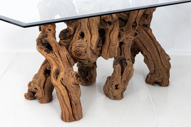 Vintage Glass Top Cypress Tree Root Dining Table at 1stDibs