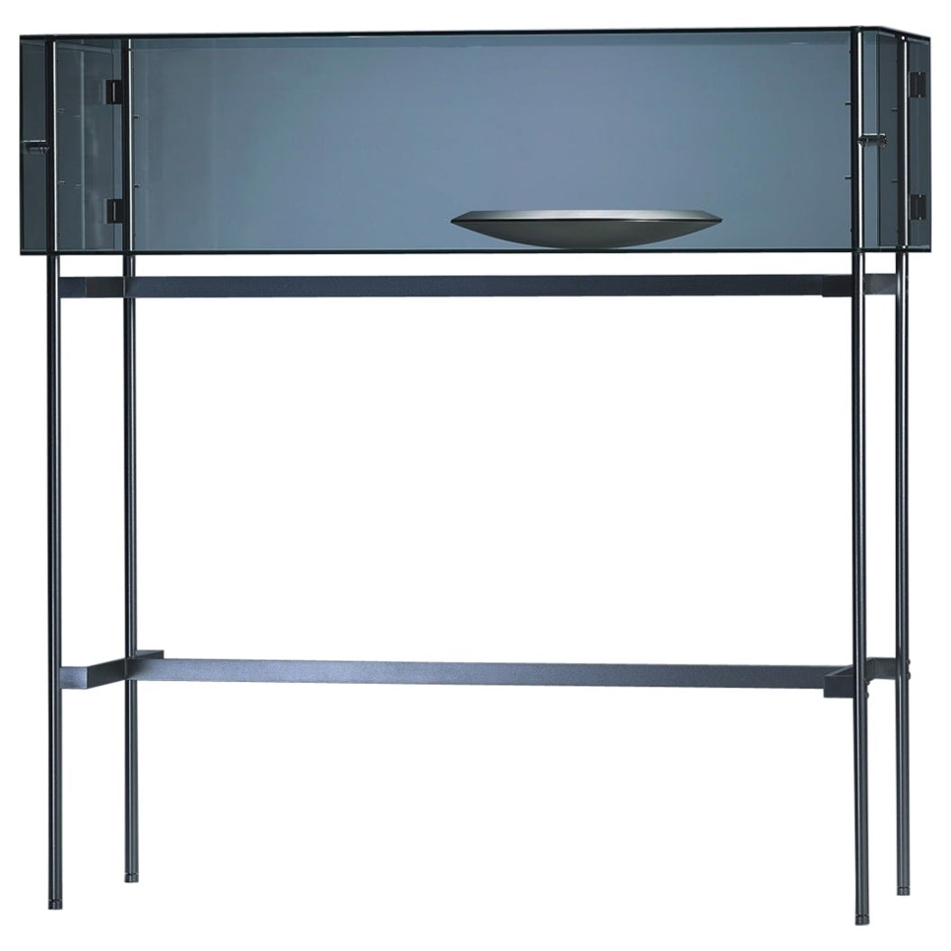Glass Visibile G Horizontal Standing Cabinet by Angelo Alinea