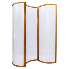Glass Voyeur Screen / Room Divider by Vittorio Livi for Fiam - 1990s