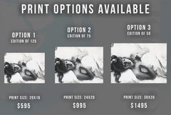 Claudia Cardinale Wrapped in Sheets Globe Photos Fine Art Print