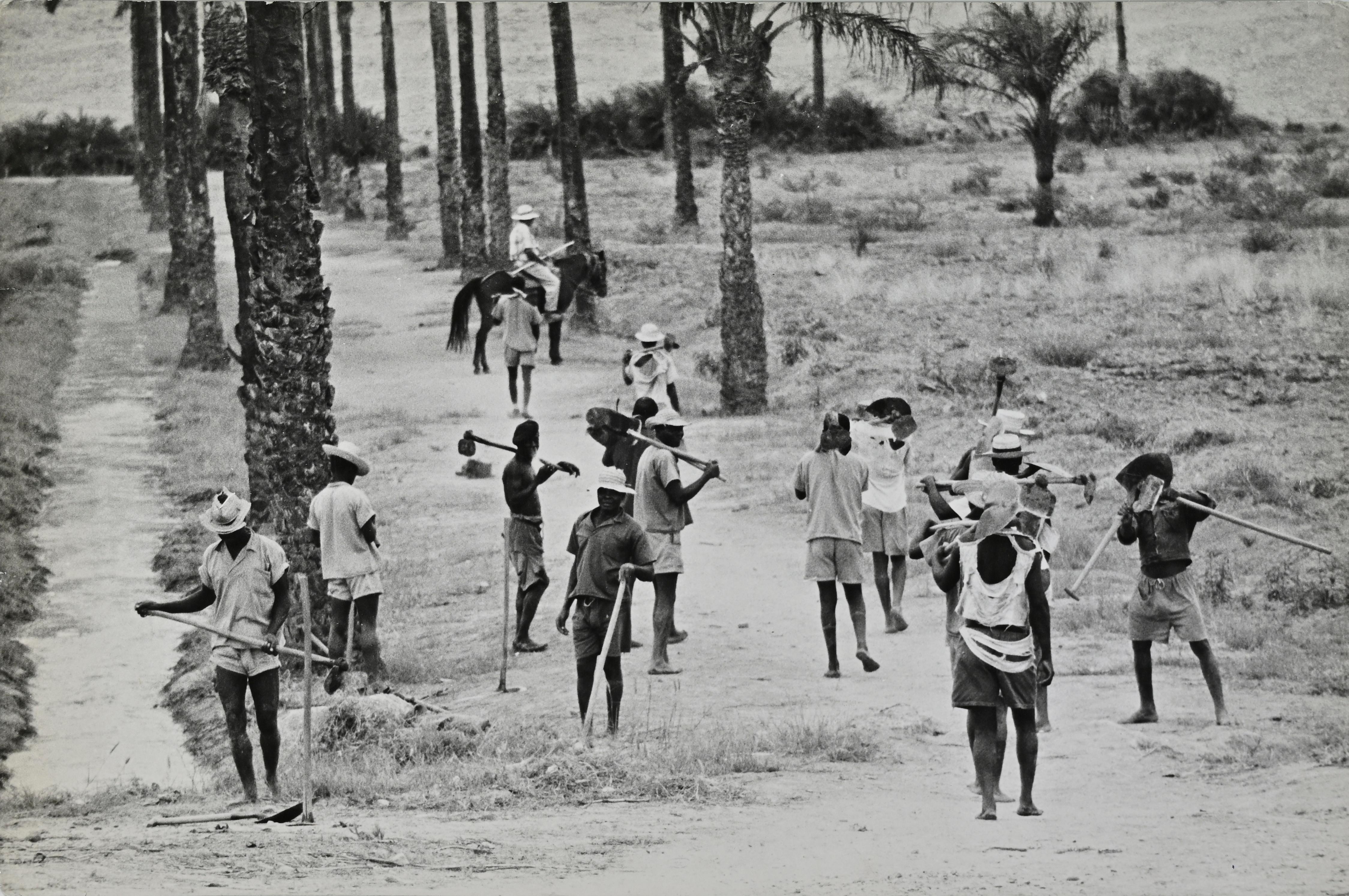 S. Nicolao est une photo vintage en noir et blanc, réalisée dans les années 1960, par Glauco Cortini.

La photo représente les hommes travaillant dans la forteresse.

Bonnes conditions et vieillissement.

Il fait partie d'un album historique et
