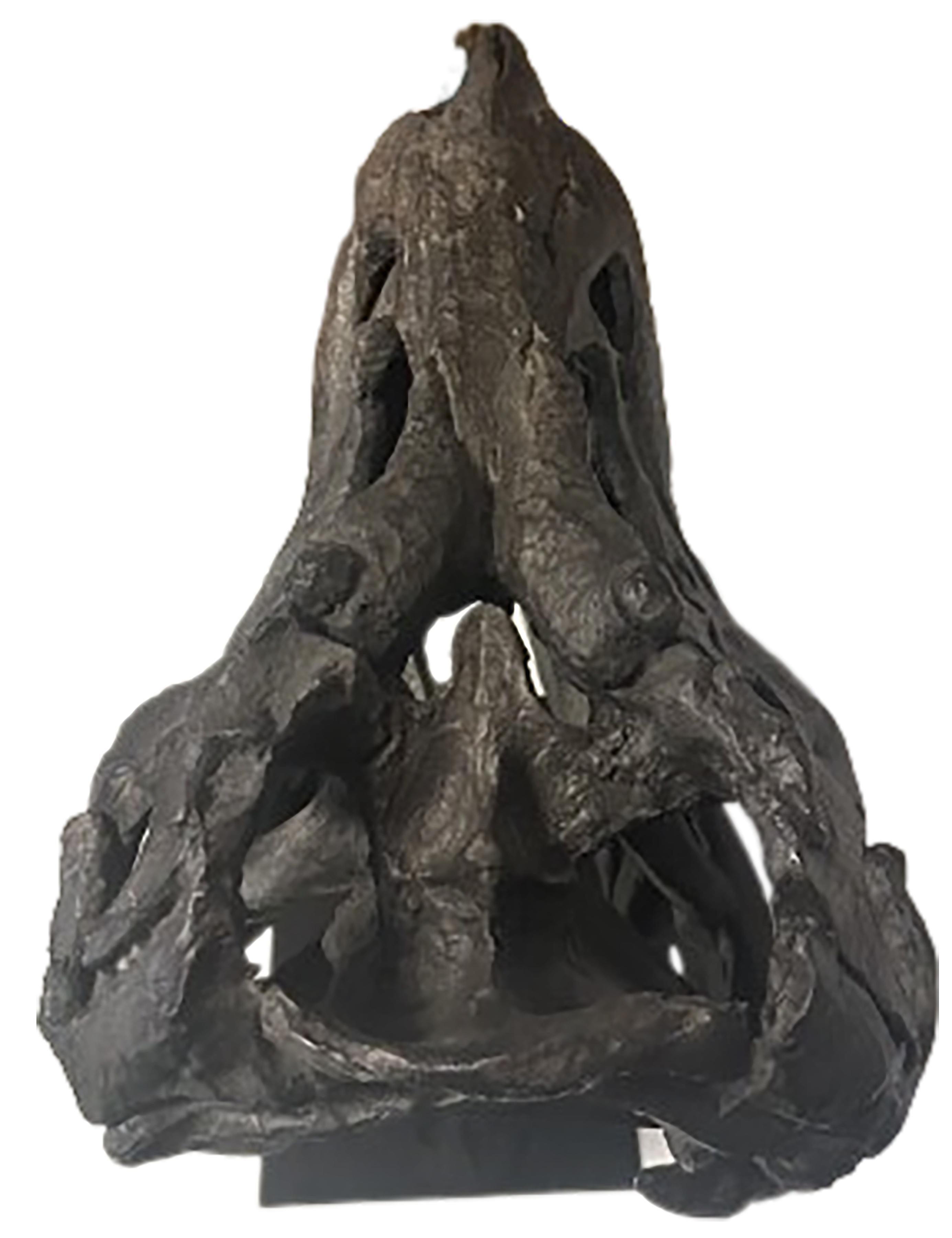 North American Glazed Dark Bronze Finish Dinosaur Skull with Base For Sale