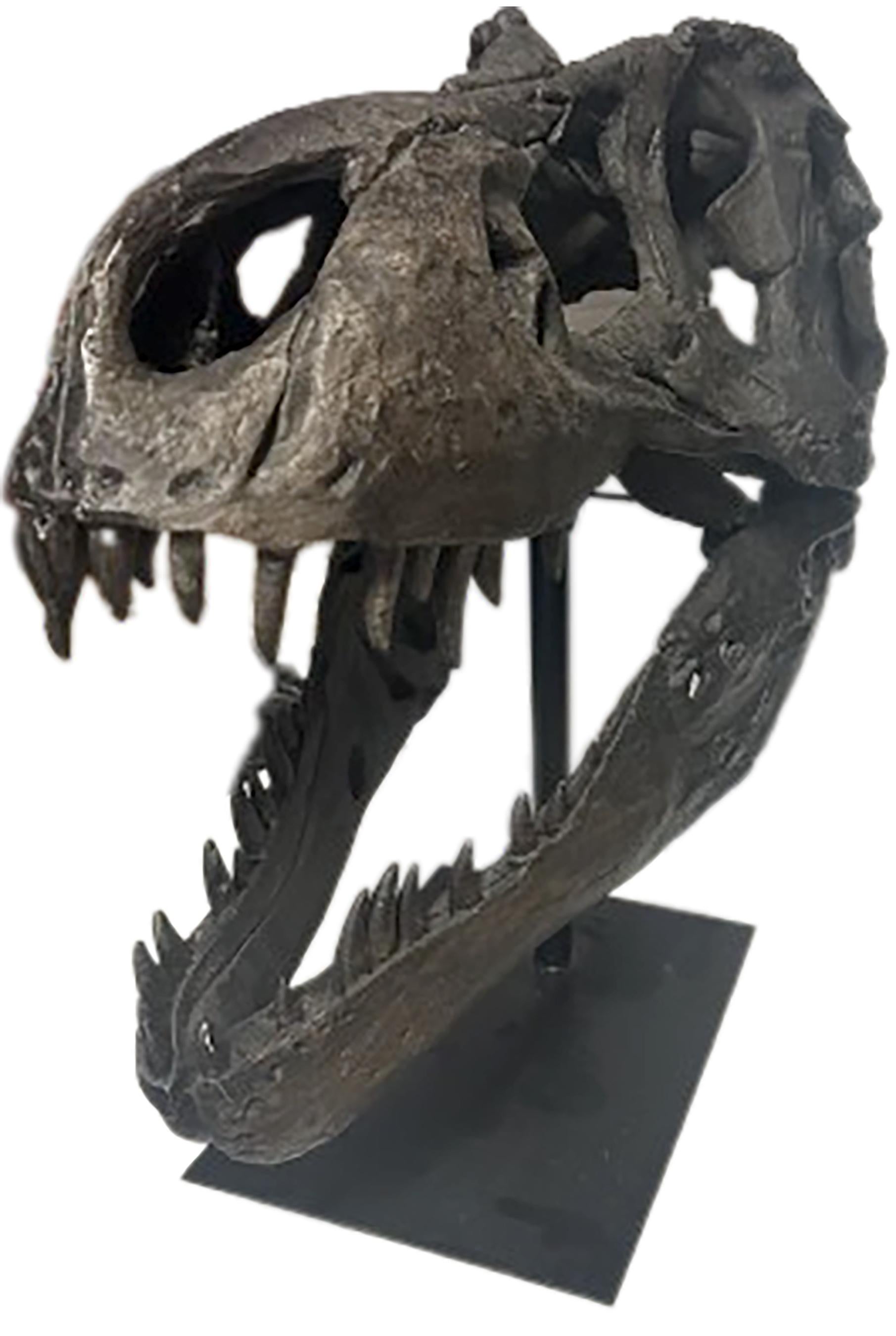 Glazed Dark Bronze Finish Dinosaur Skull with Base In Excellent Condition For Sale In Dallas, TX