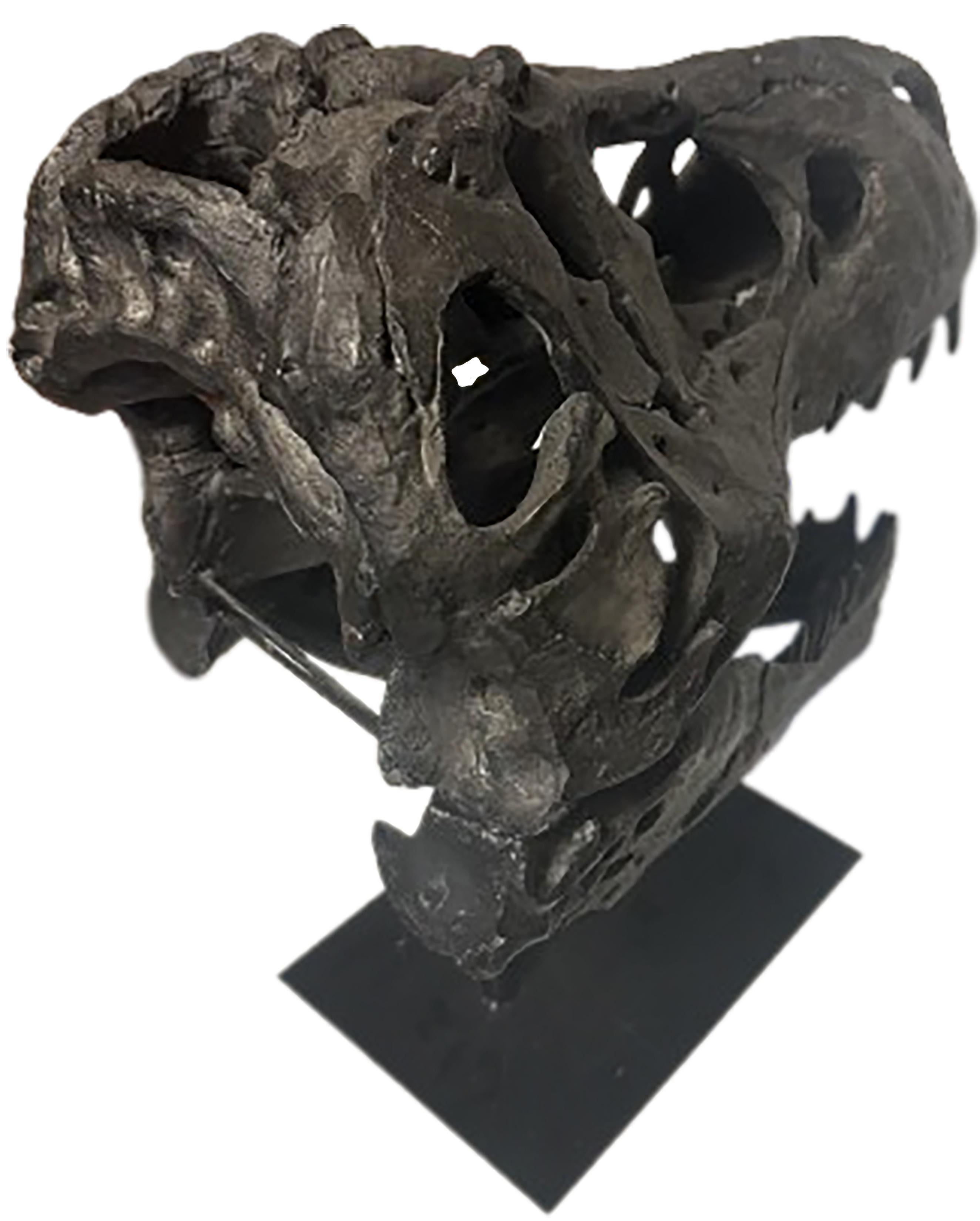 Glazed Dark Bronze Finish Dinosaur Skull with Base For Sale 1