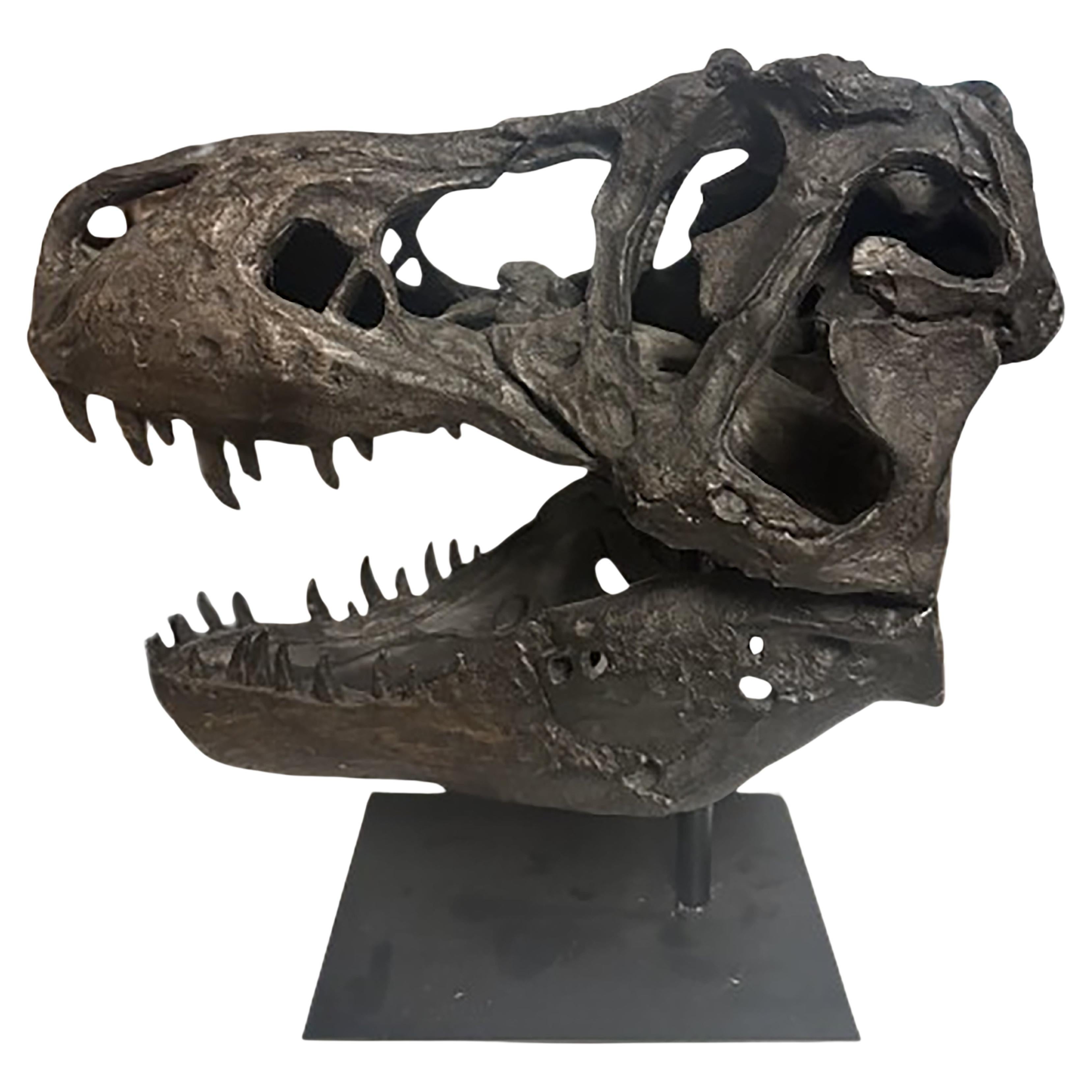 Tête de dinosaure émaillée en bronze foncé avec base